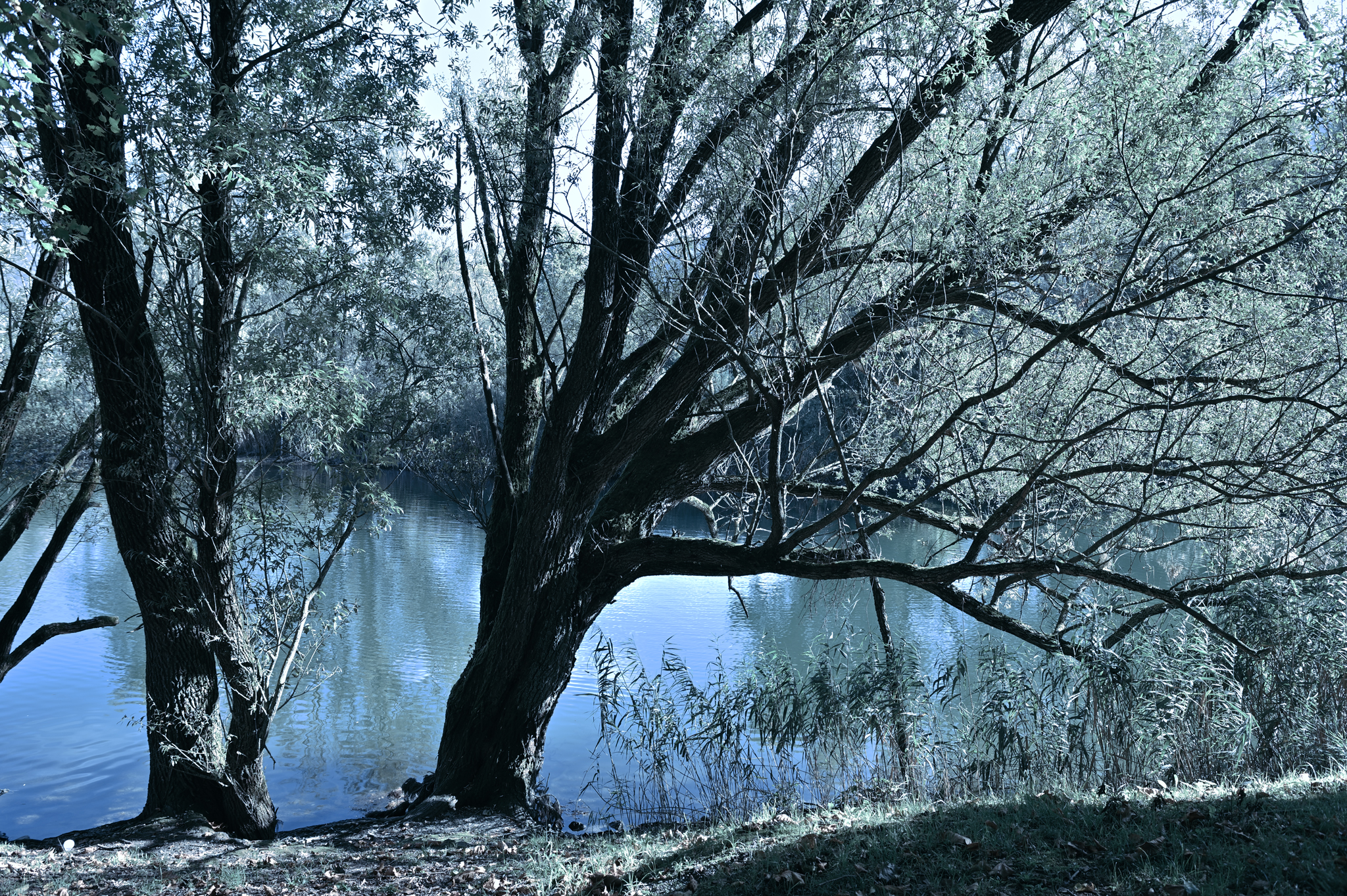 First rays of sunshine