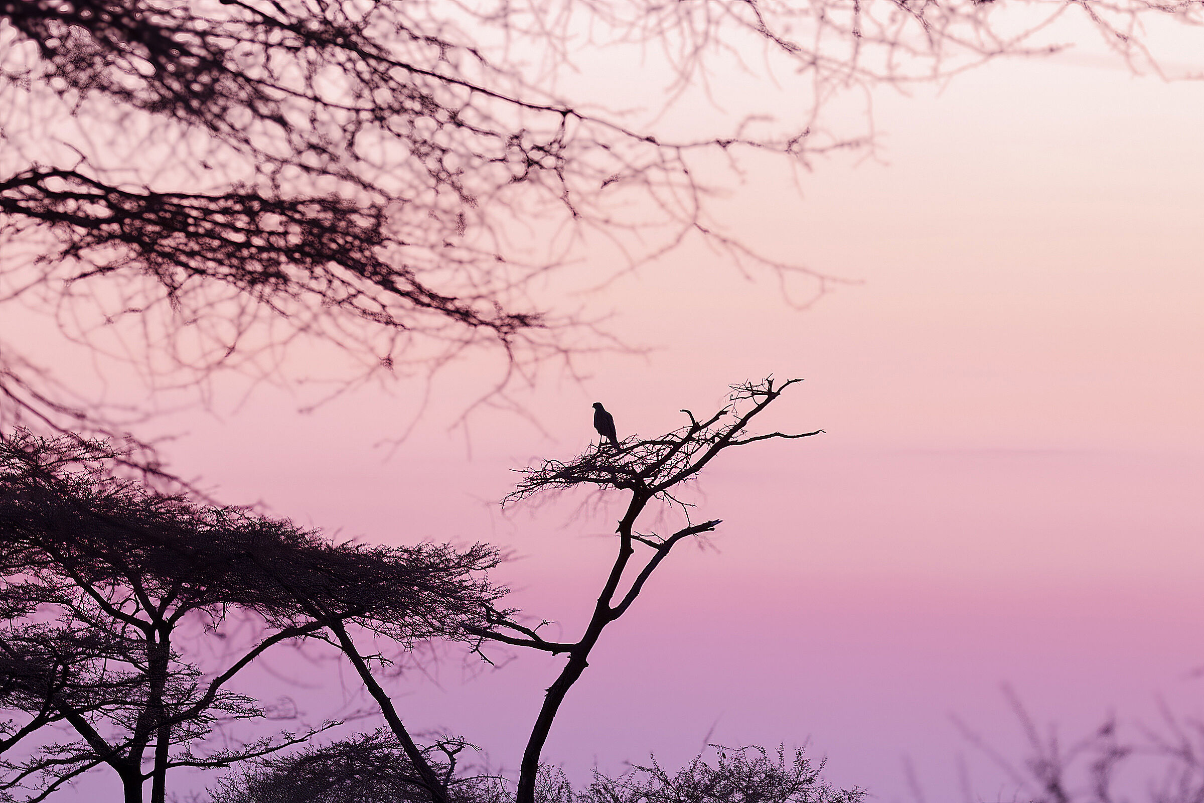 6.00 pm in Serengeti