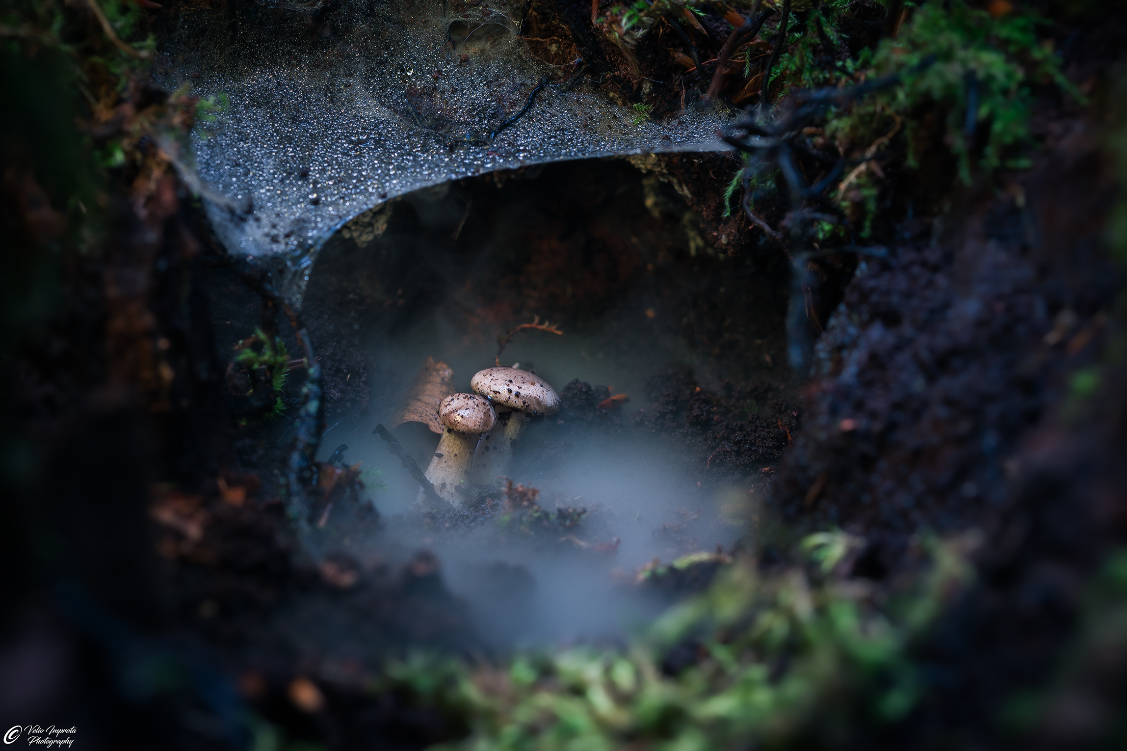 The first smoke of autumn 2025