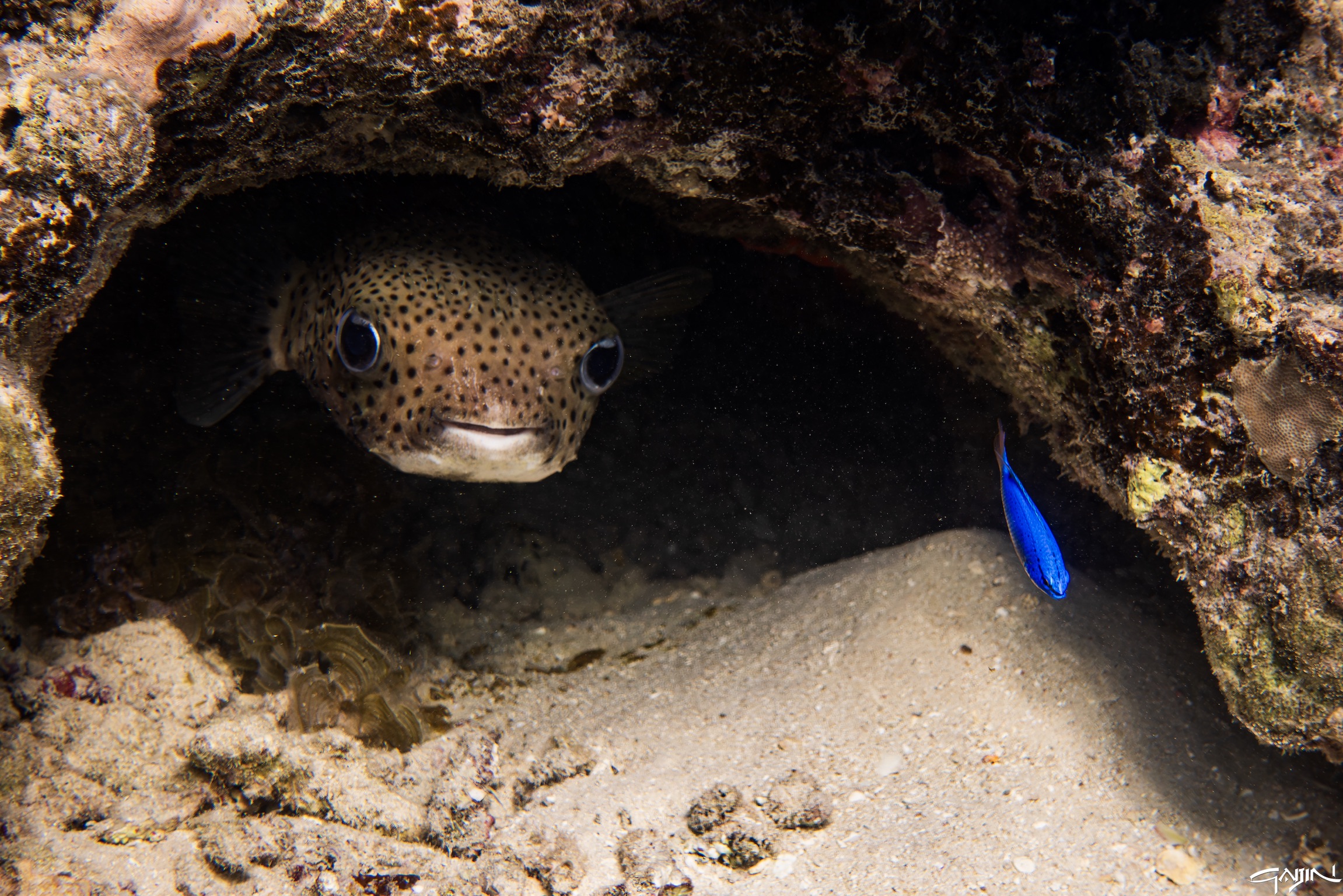 I'm keeping an eye on you