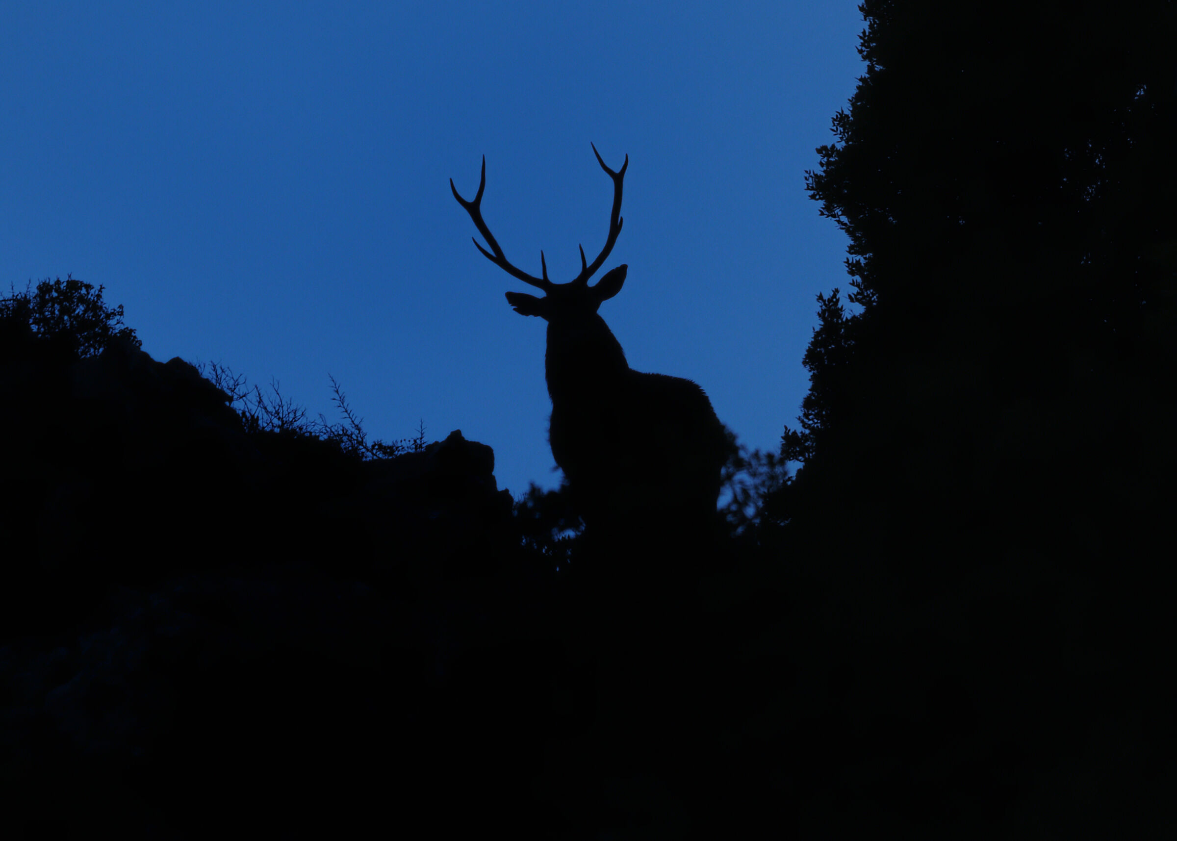 When you arrive at dawn and feel observed...