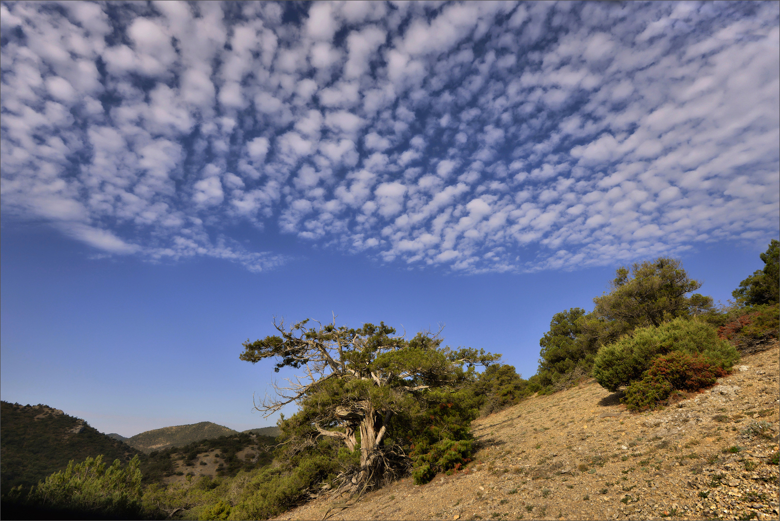 Salita al Monte Falco_scatto 1