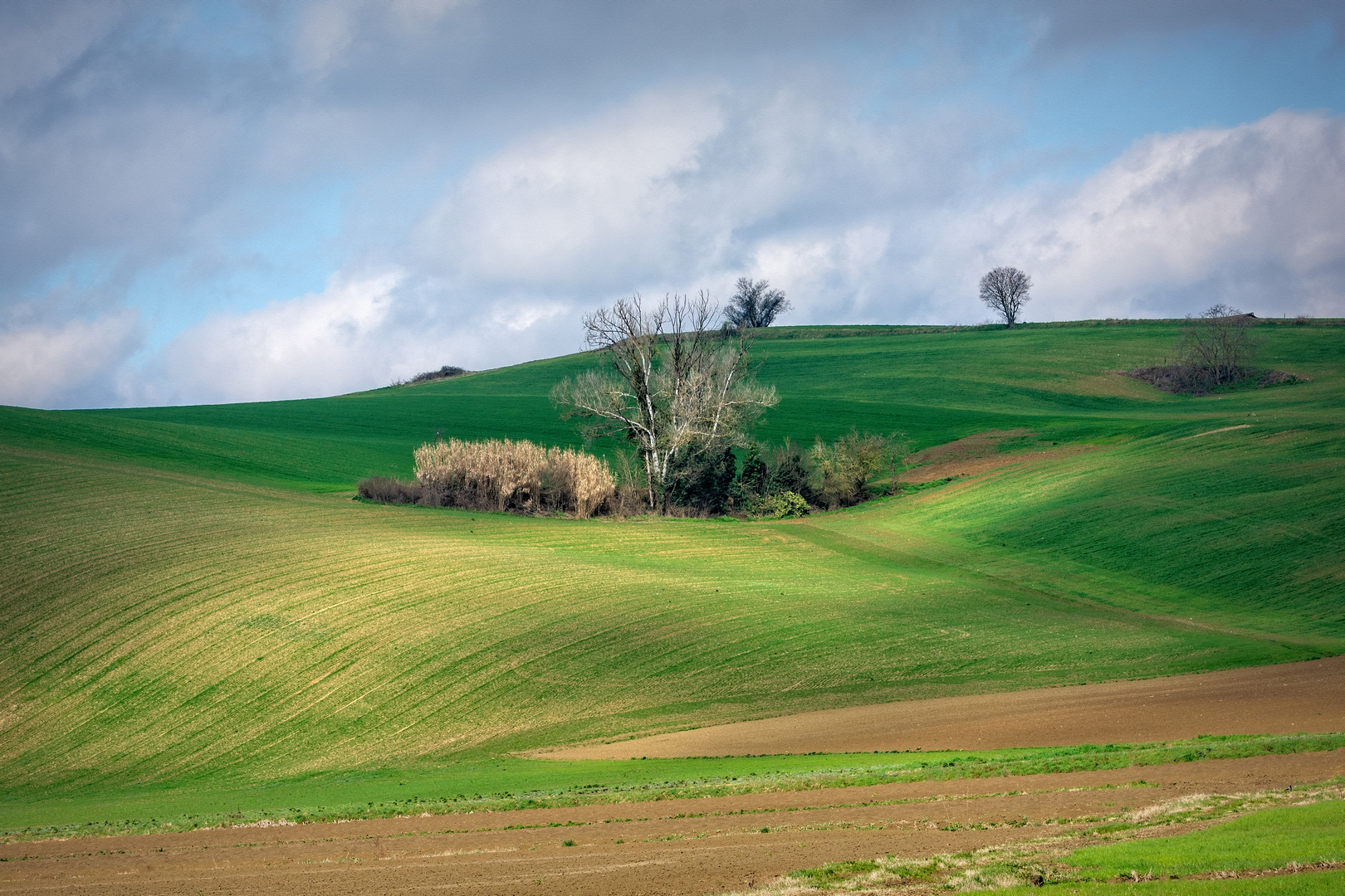 Monferrato