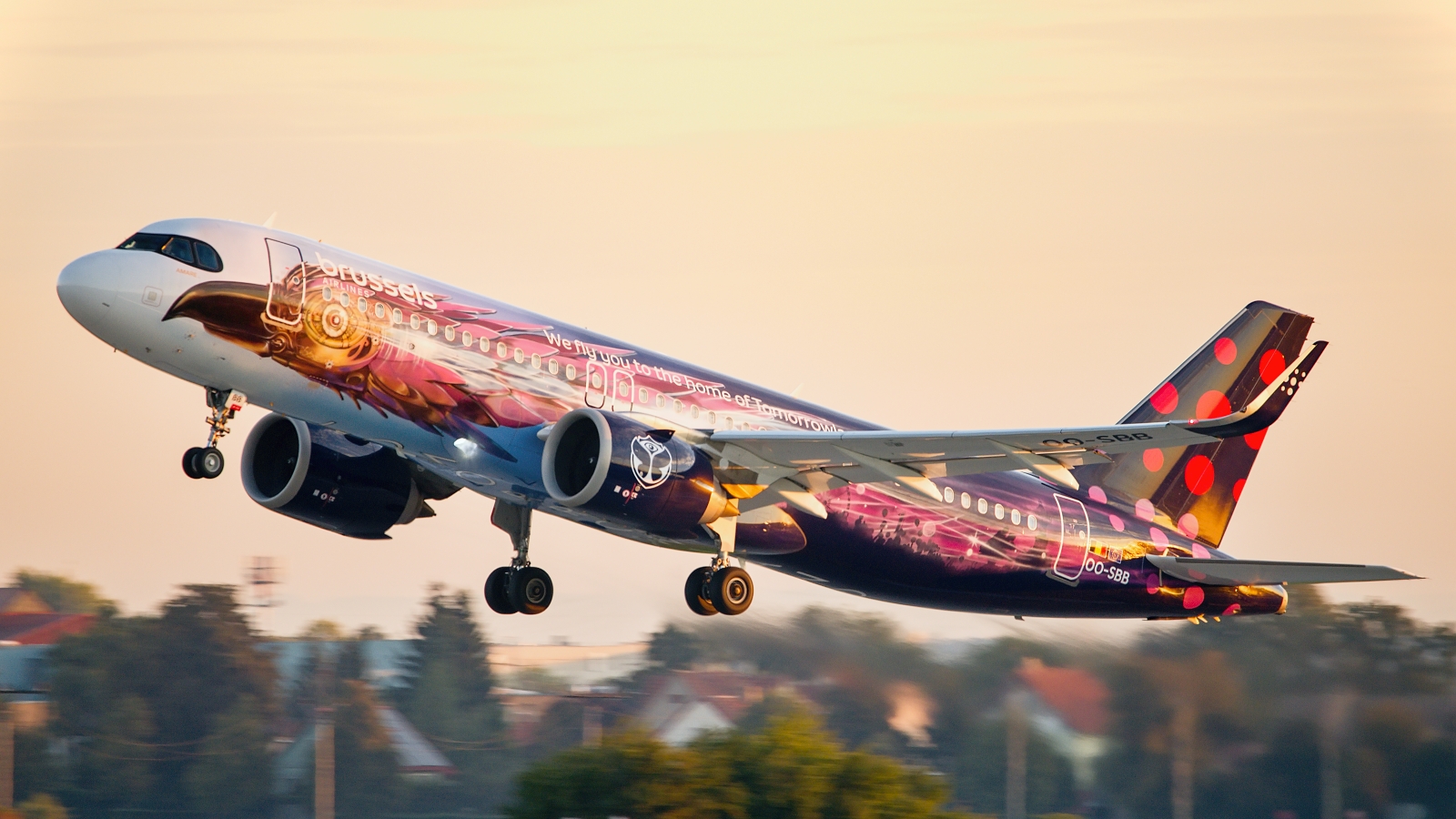 In the first rays of the sun