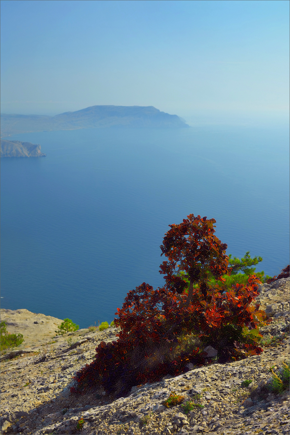 Salita al Monte Falco in Crimea_scatto 2