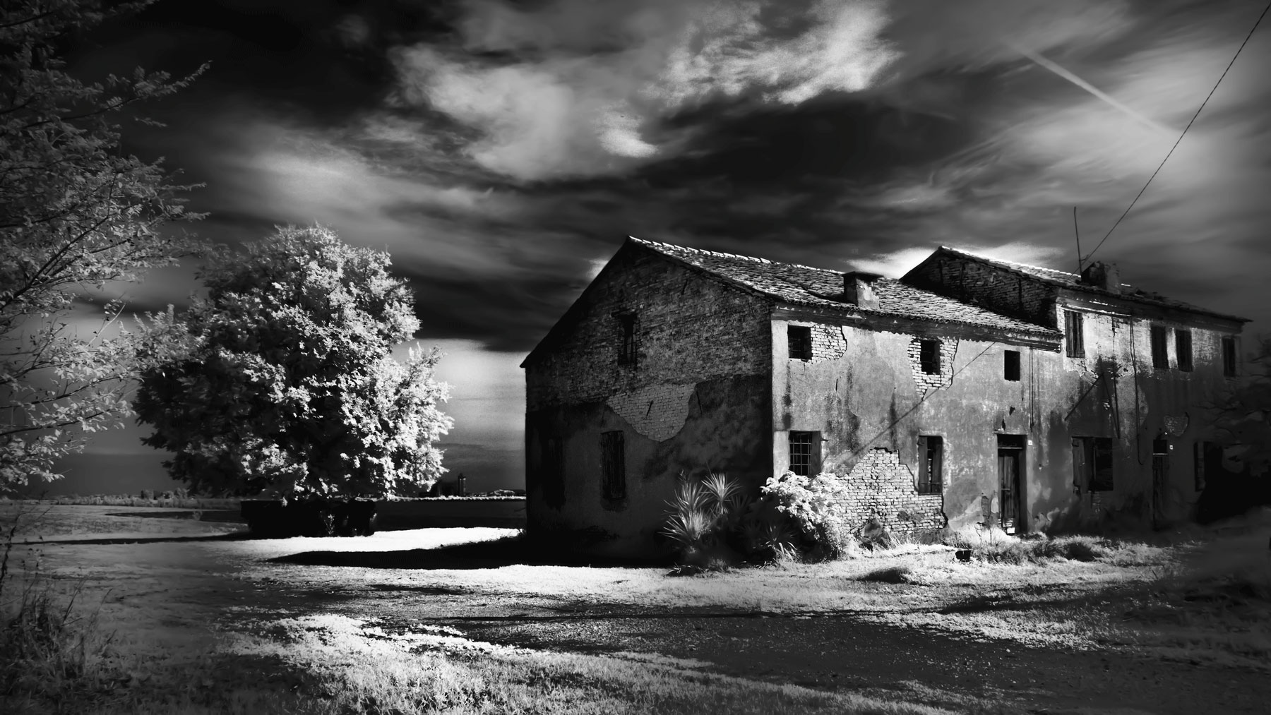 Untitled Photo