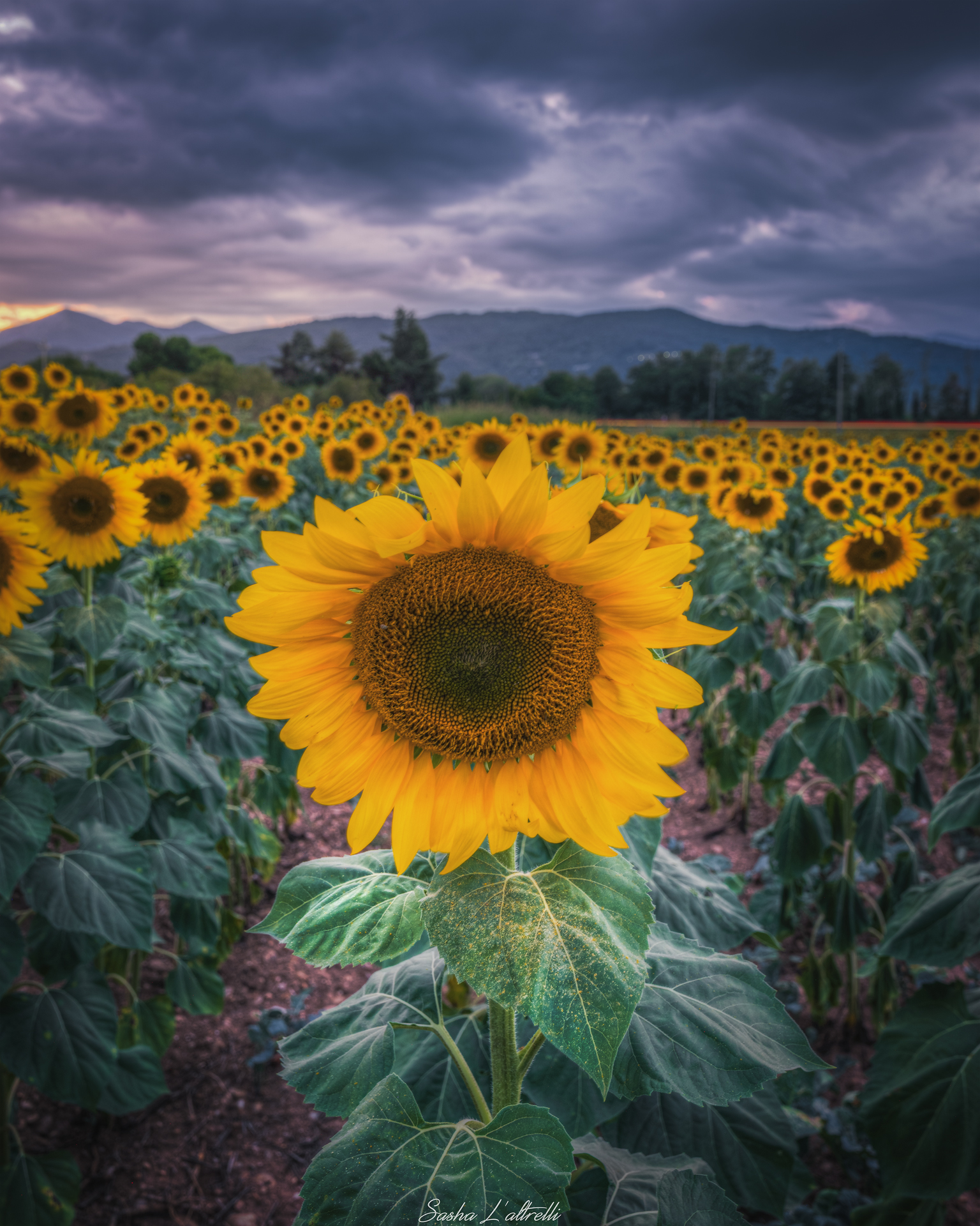 Even on cloudy days, there is a sun that shines in us