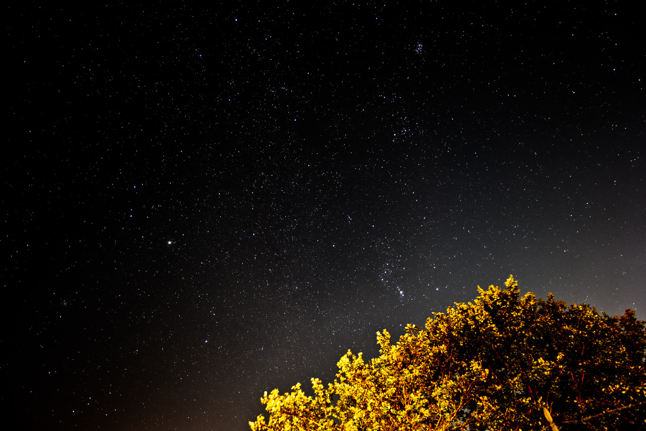 Stellatissimo
