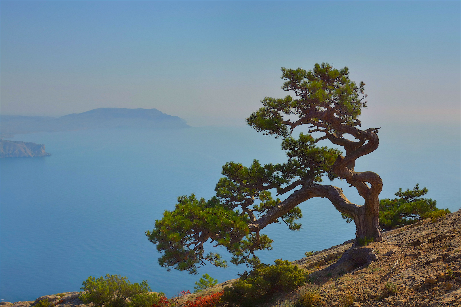 Salita al Monte Falco in Crimea_scatto 3