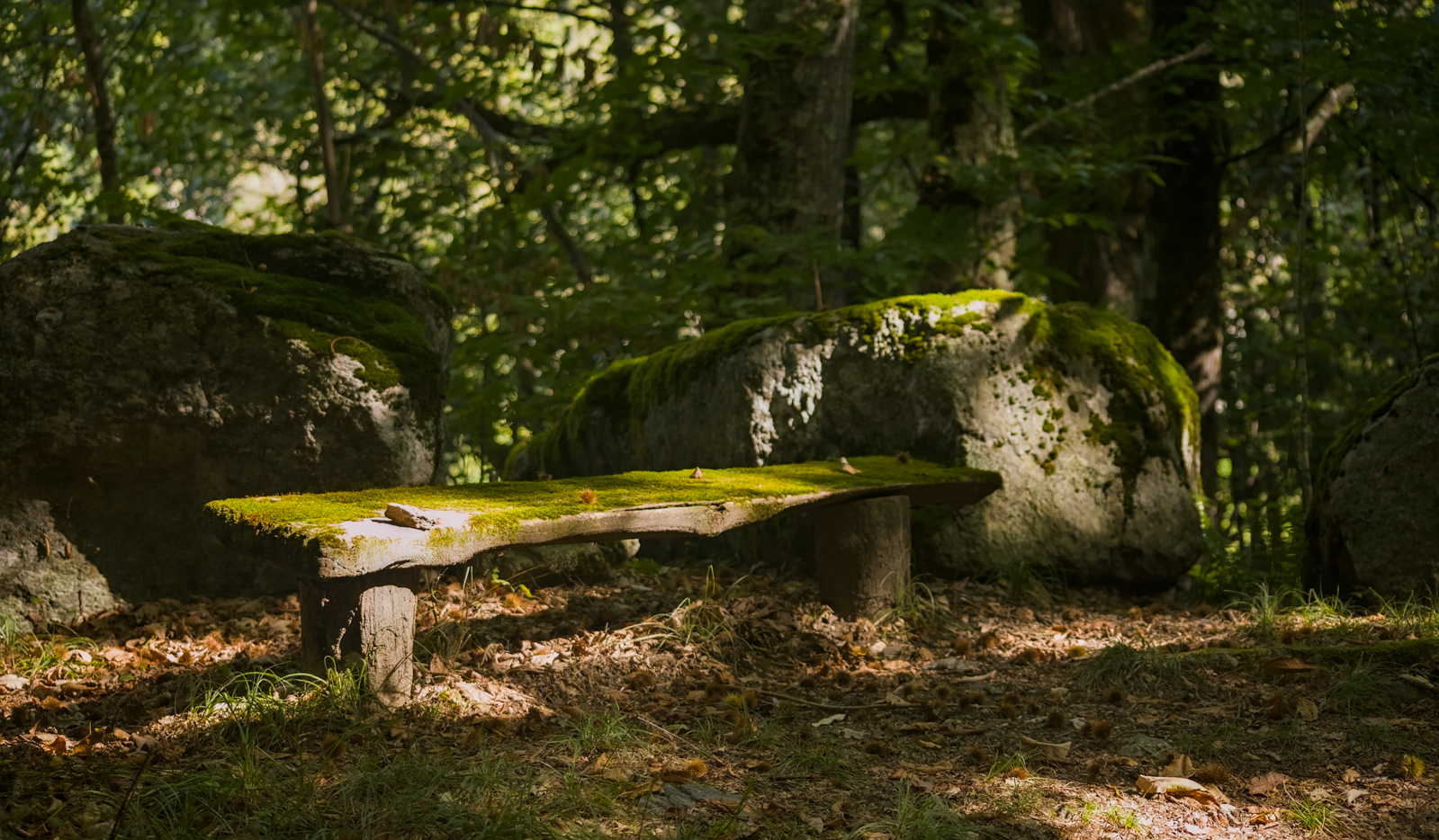 Panca per il riposo nel bosco, Chialamberto, Breno