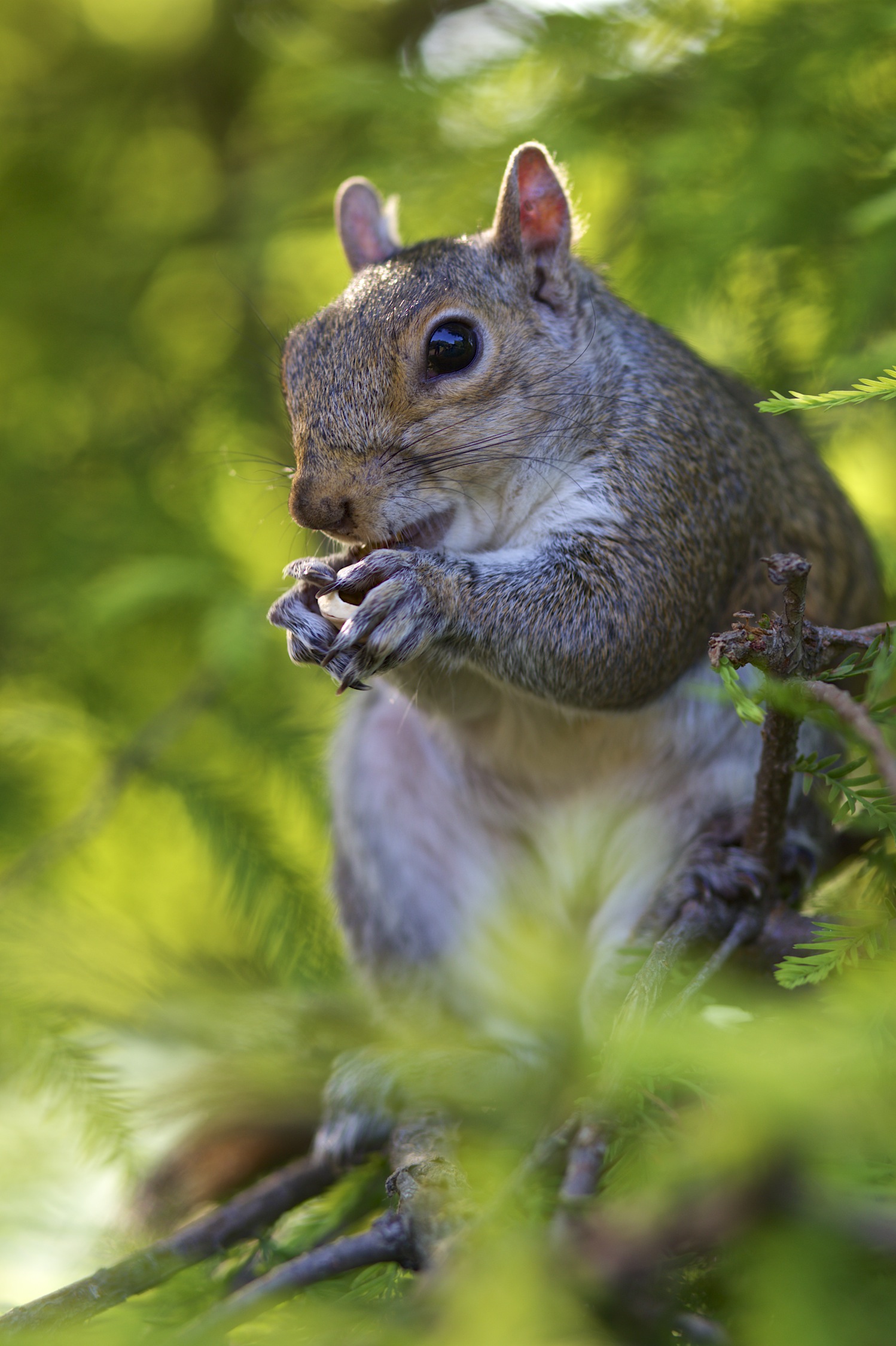 Spuntino pomeridiano...