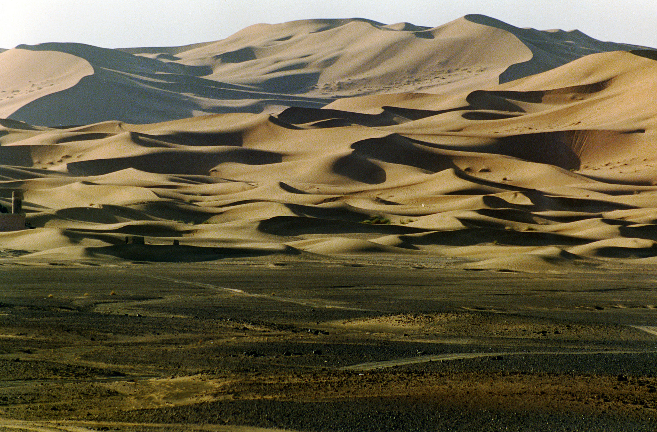 Dune di Erfoud (Maroc)