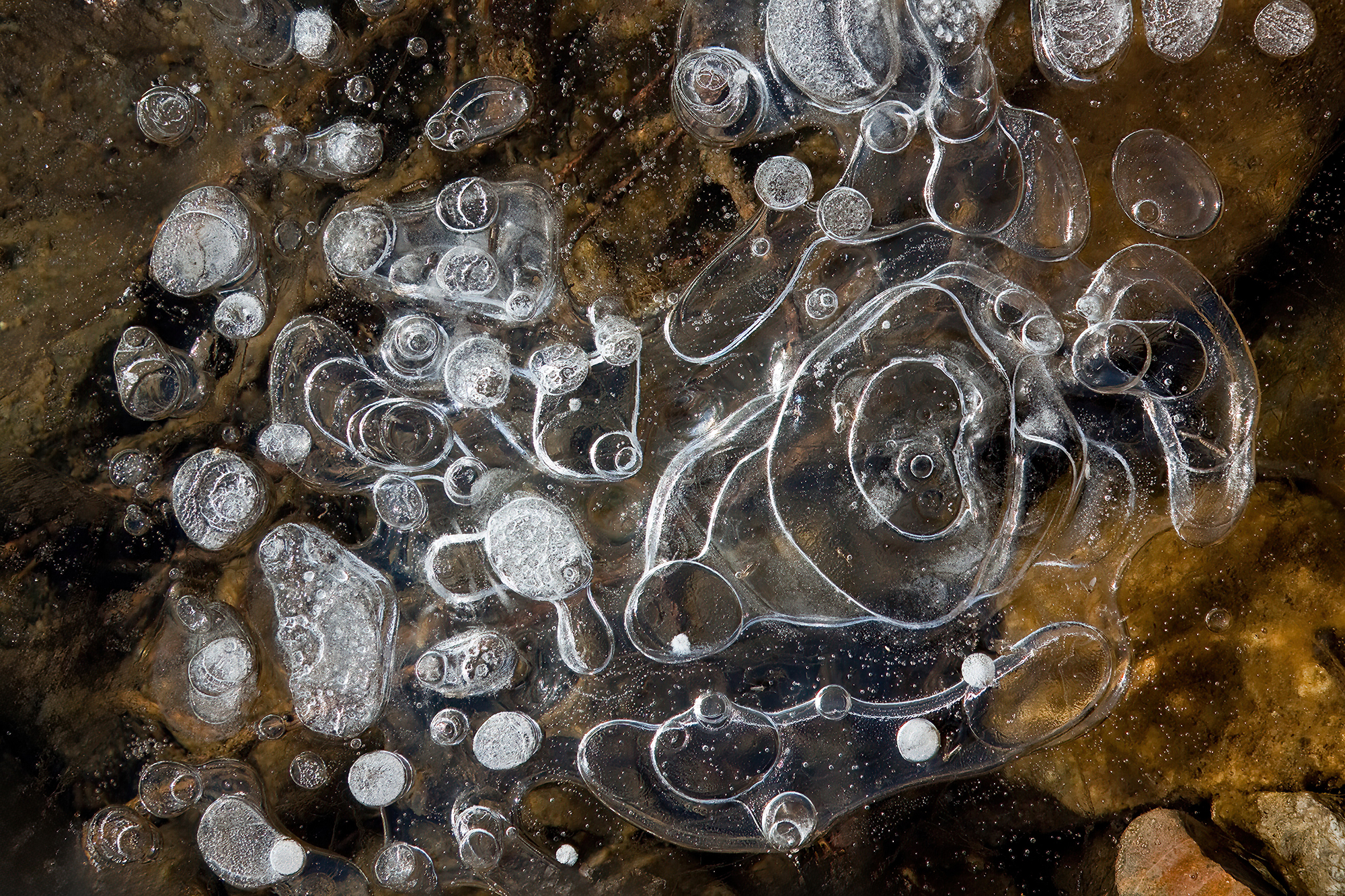 the cold has returned