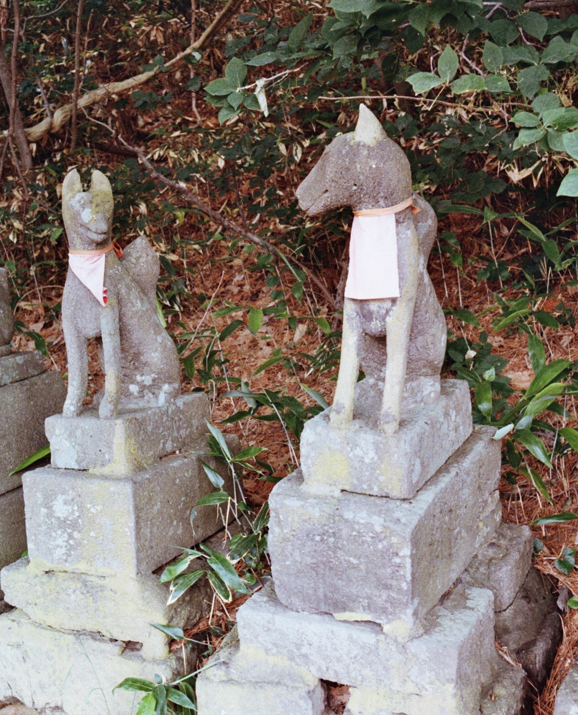 Messengers