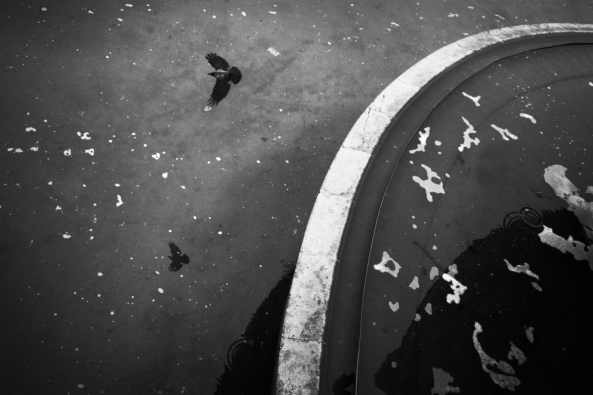 Shapes 'n' Wings