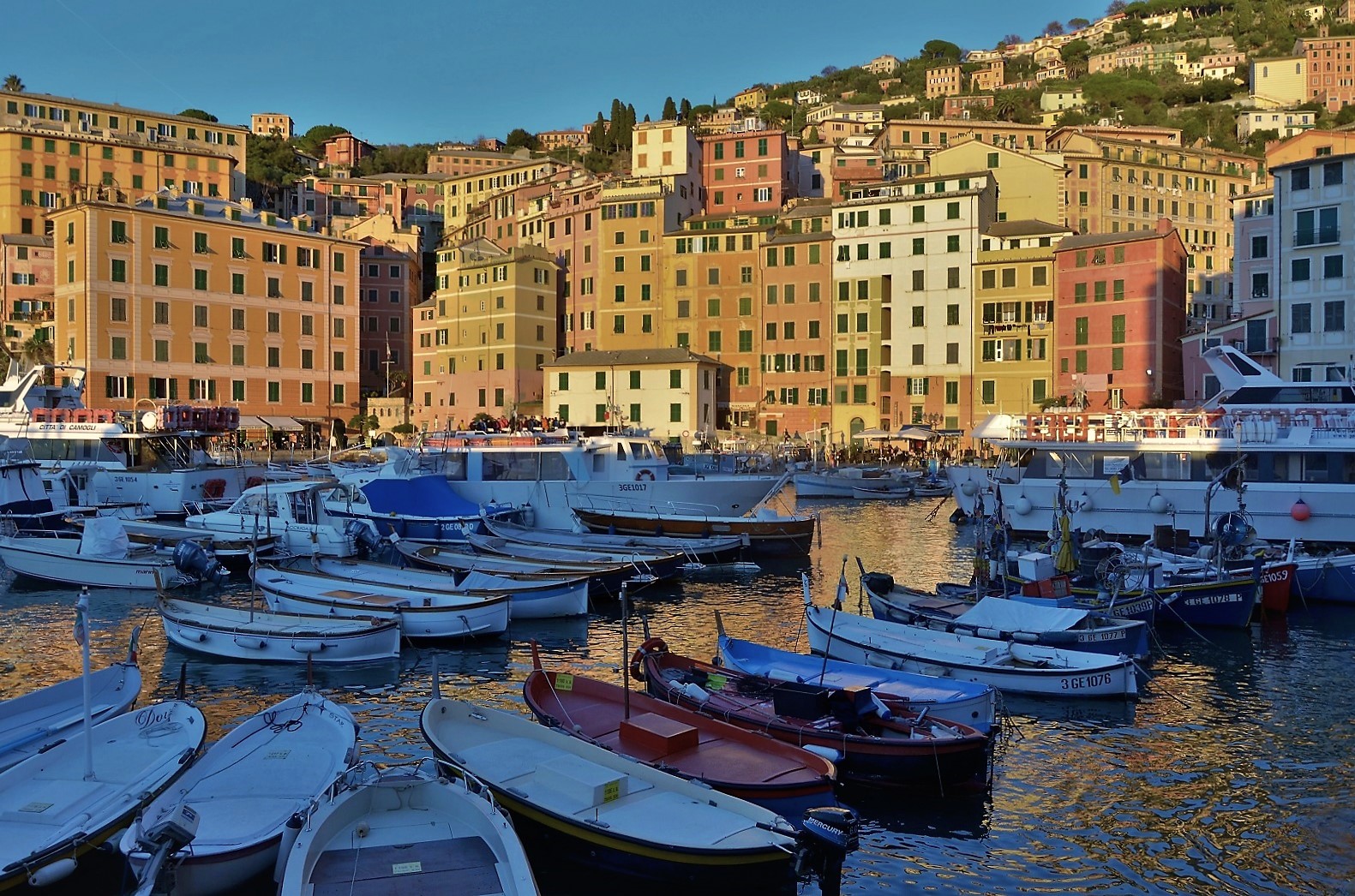 Luci ed ombre su Camogli