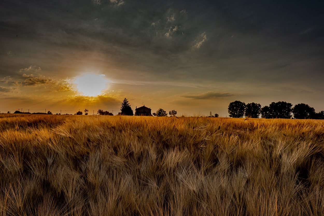 Untitled Photo