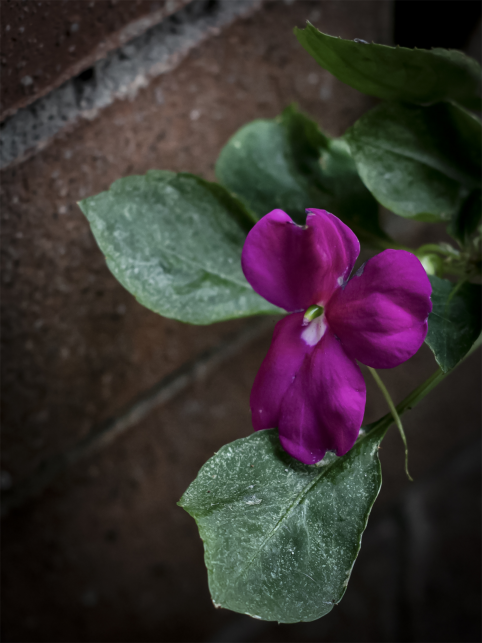 Untitled Photo
