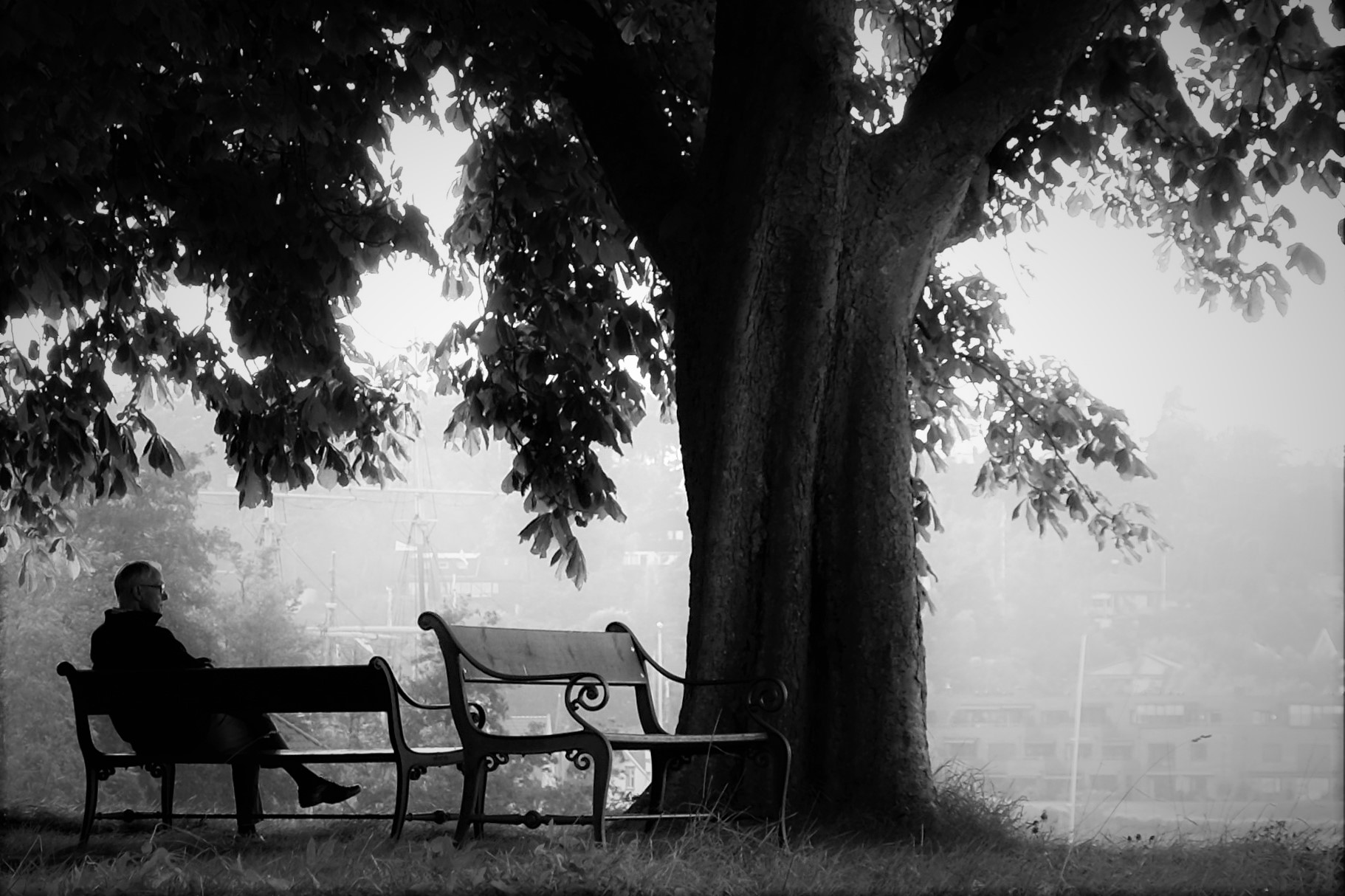 Autumn thoughts of life