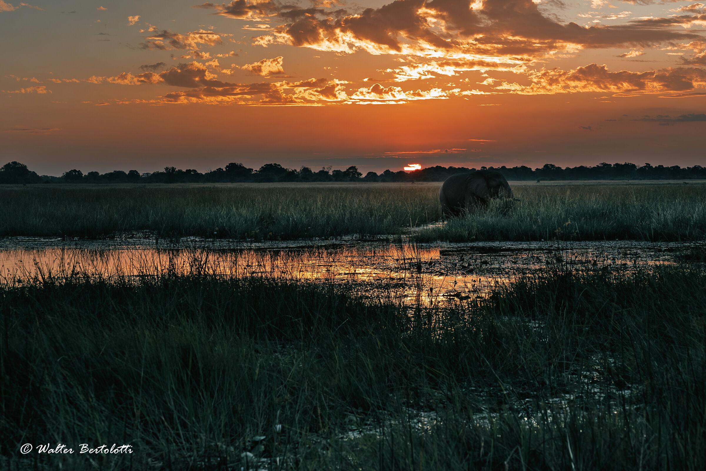 tramonto nel delta