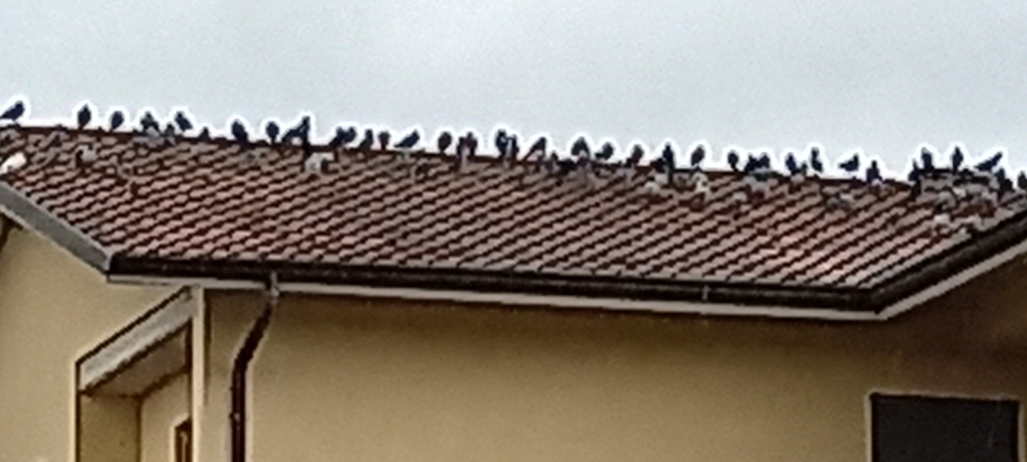 riunione di condominio