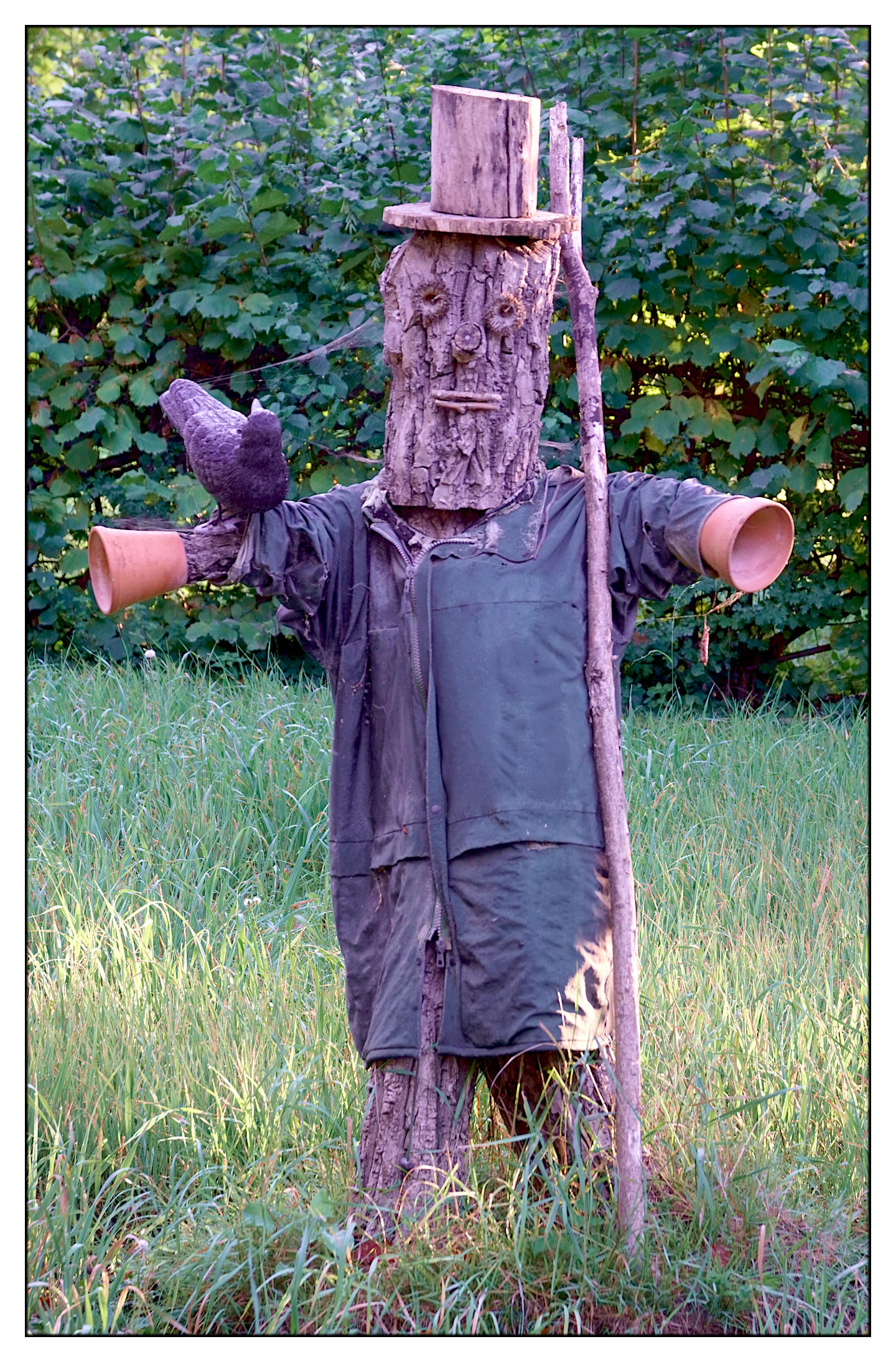The gardener's scarecrow.