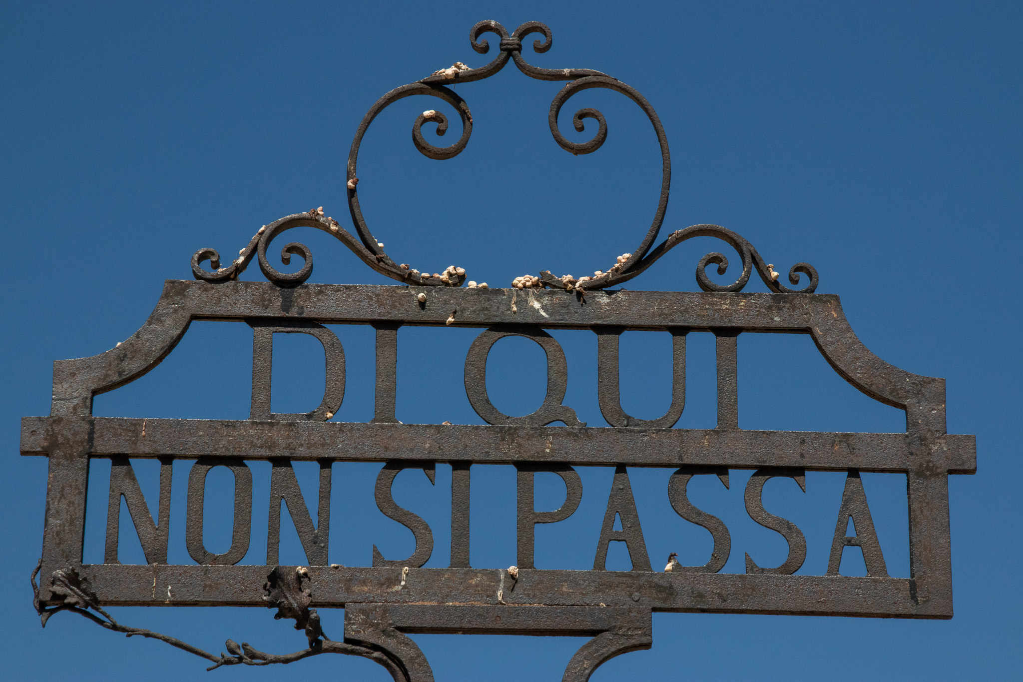 Roboante Determinazione