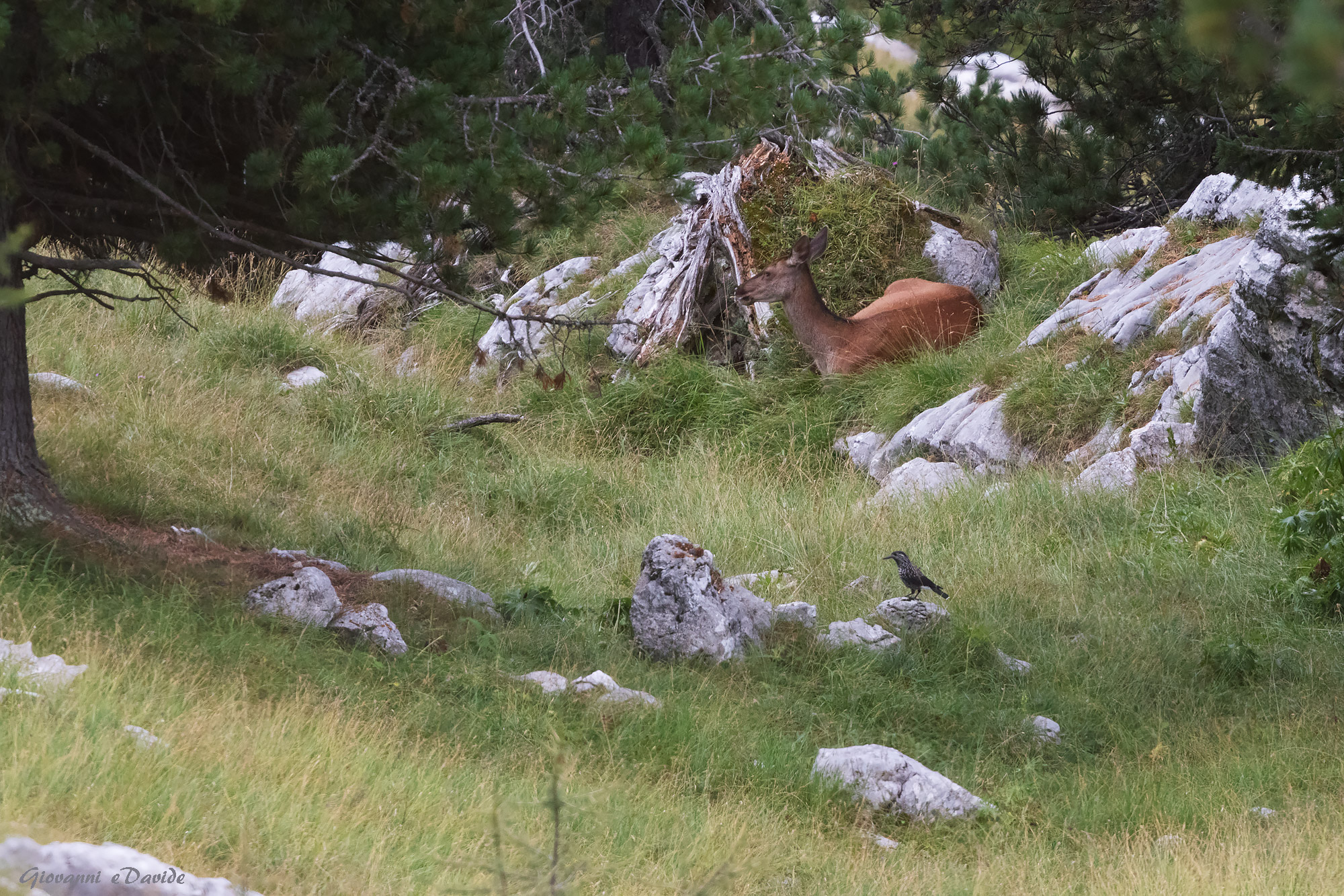 ... A moment of nature...