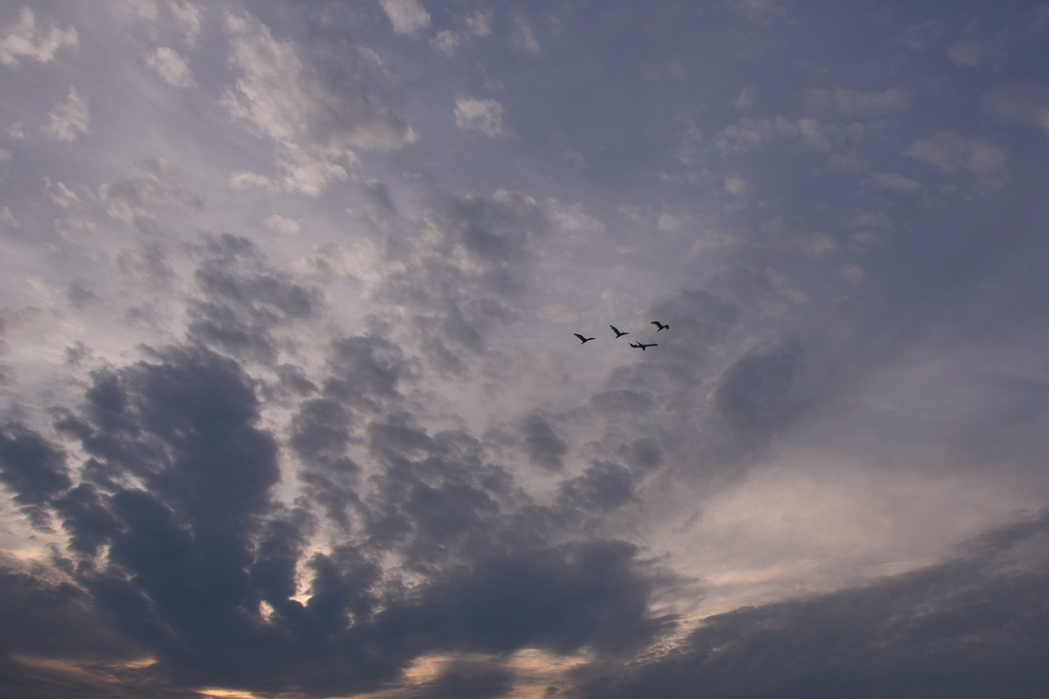 Parallel flight routes