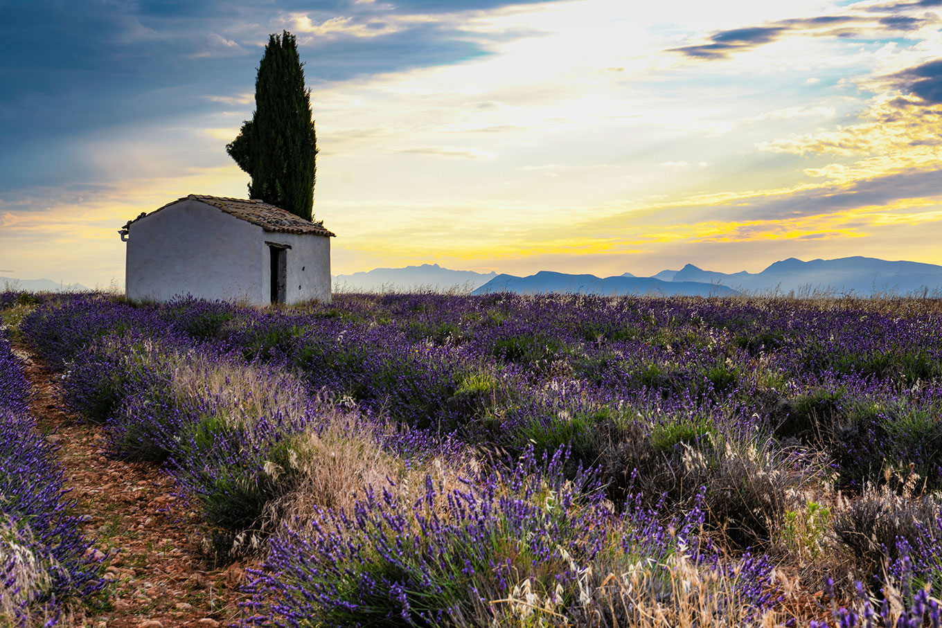 Ruins in Provence