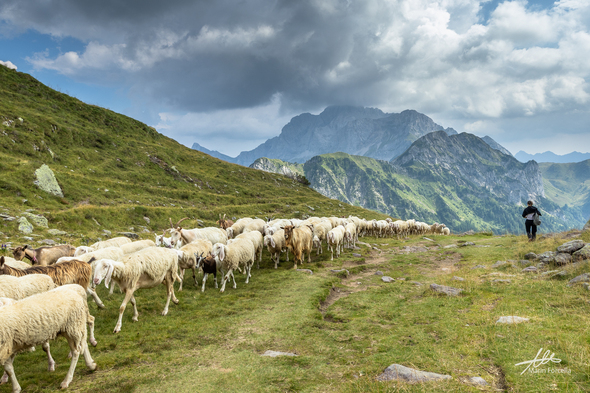 Pasture in the valley