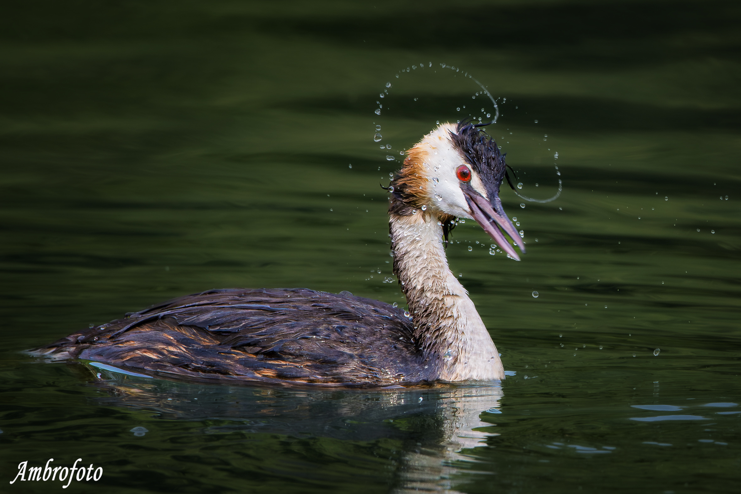 There are those who say no!