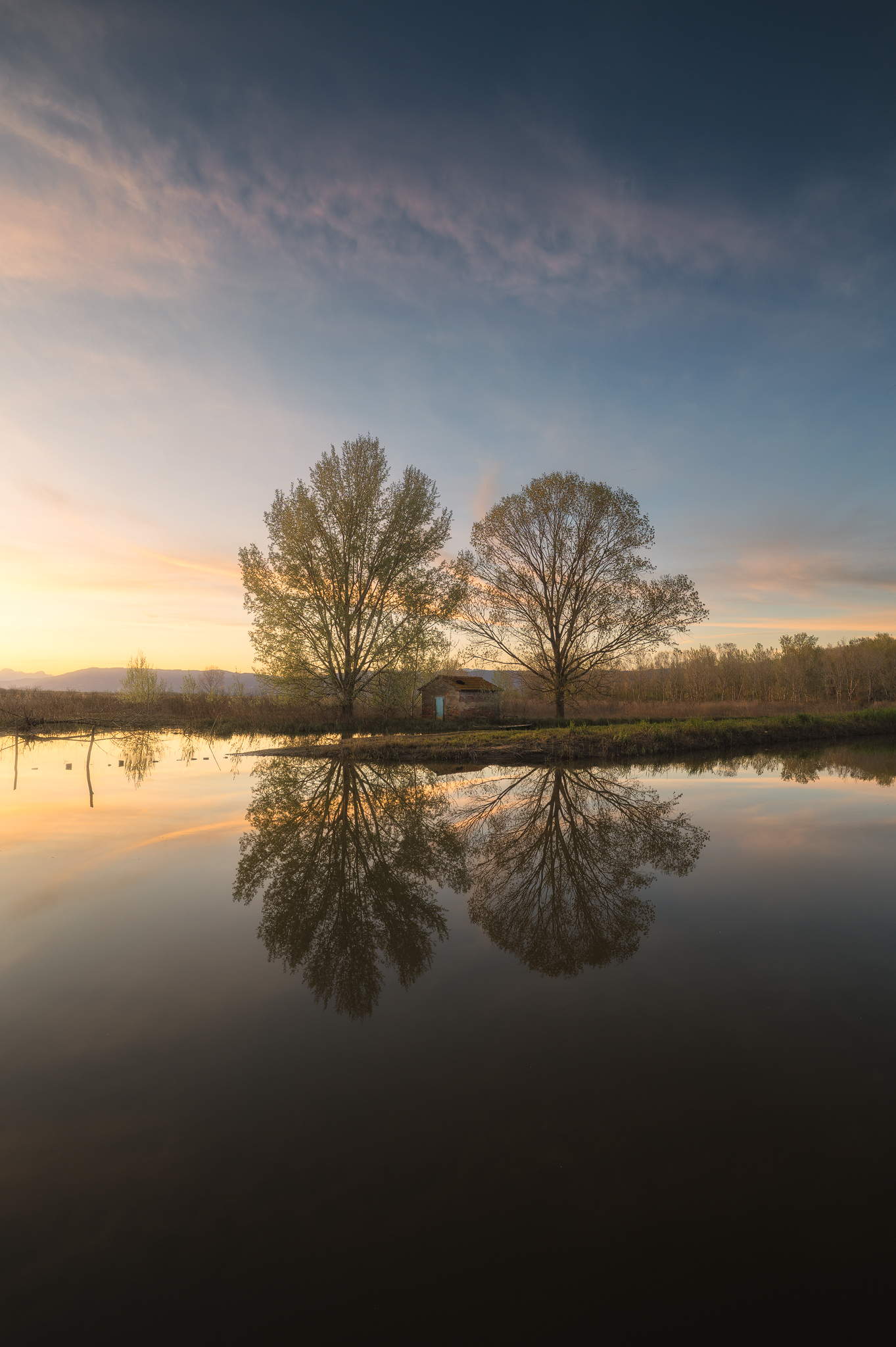 Reflections of the Marshes