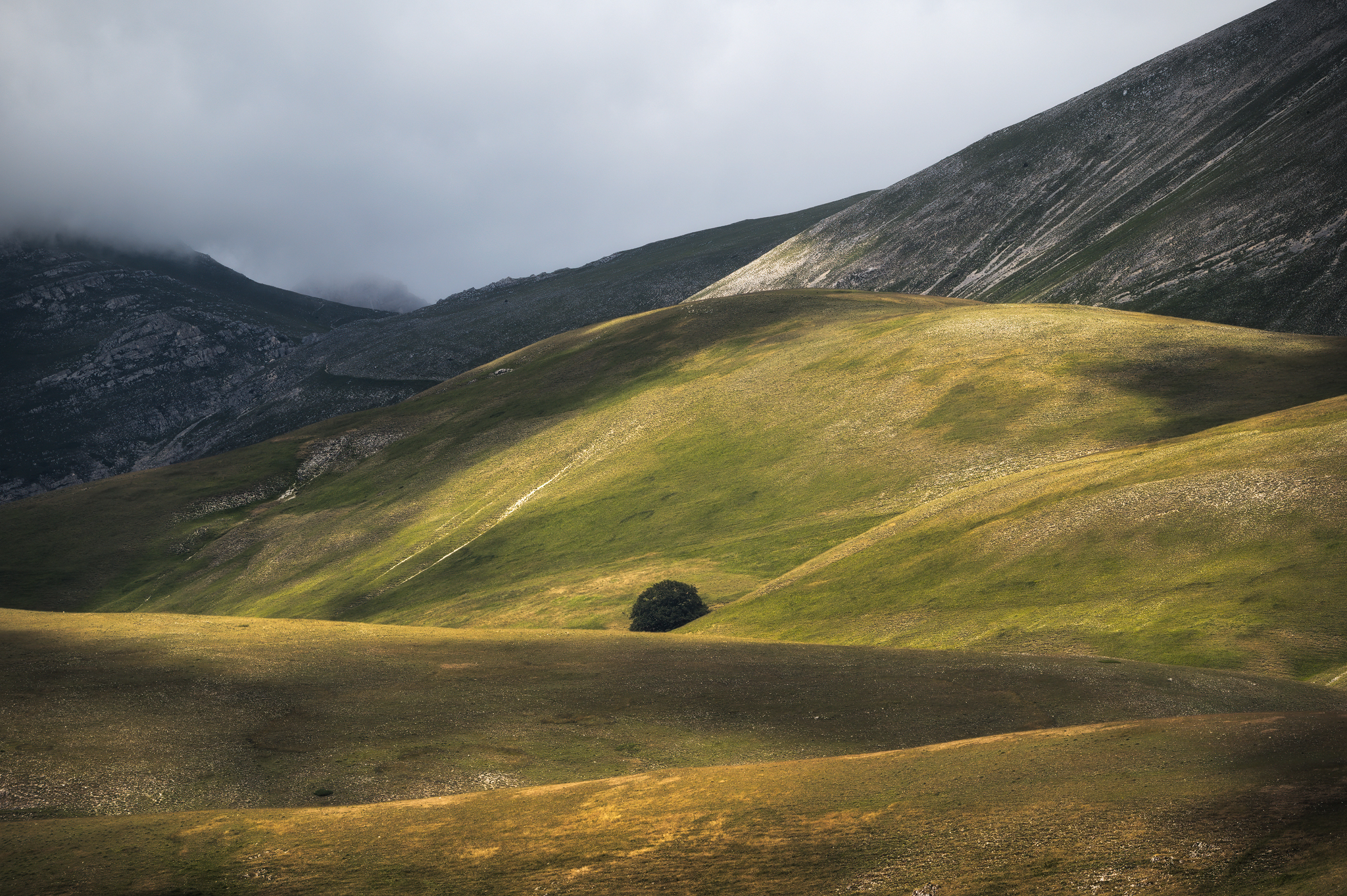 L'alberello di Castelluccio