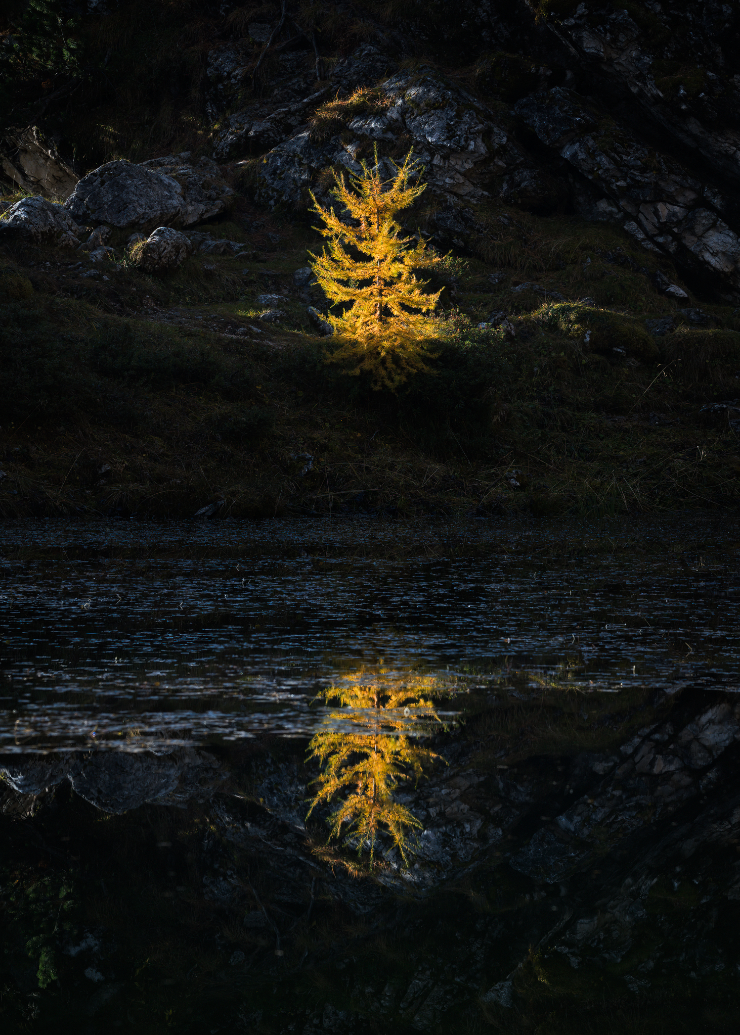 Autumn reflections on the lake