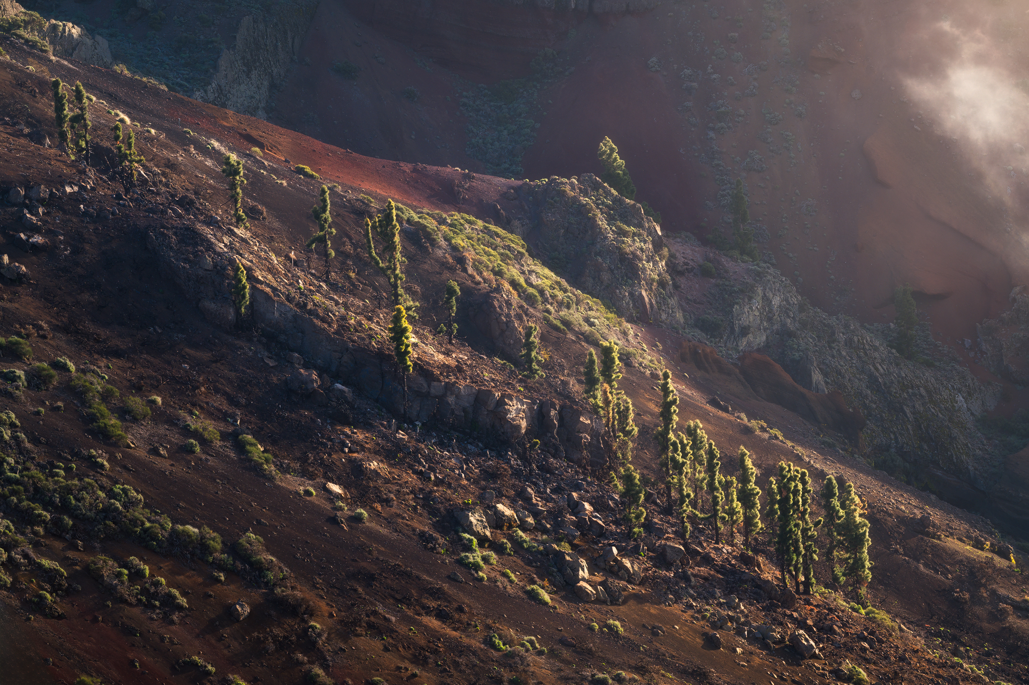 Dettagli del Teide