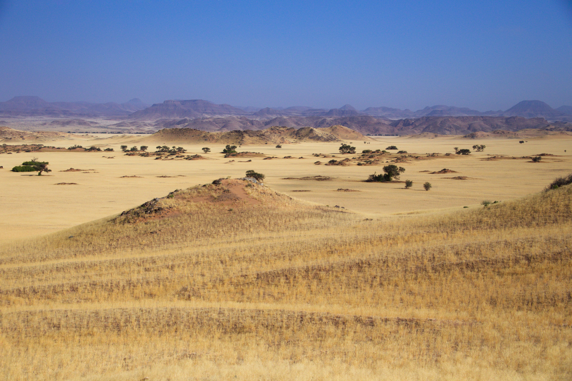 Damaraland