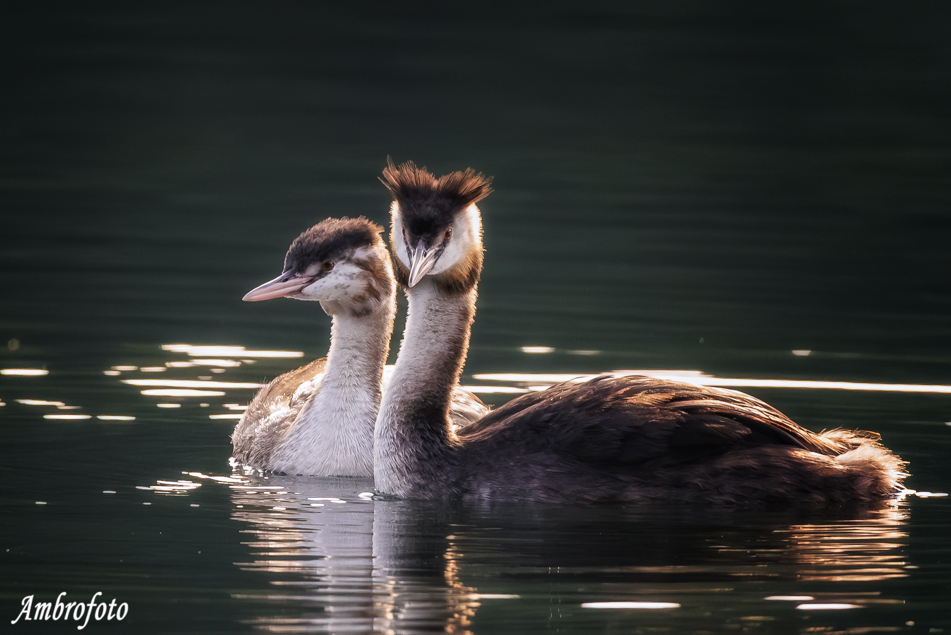 New and old generation