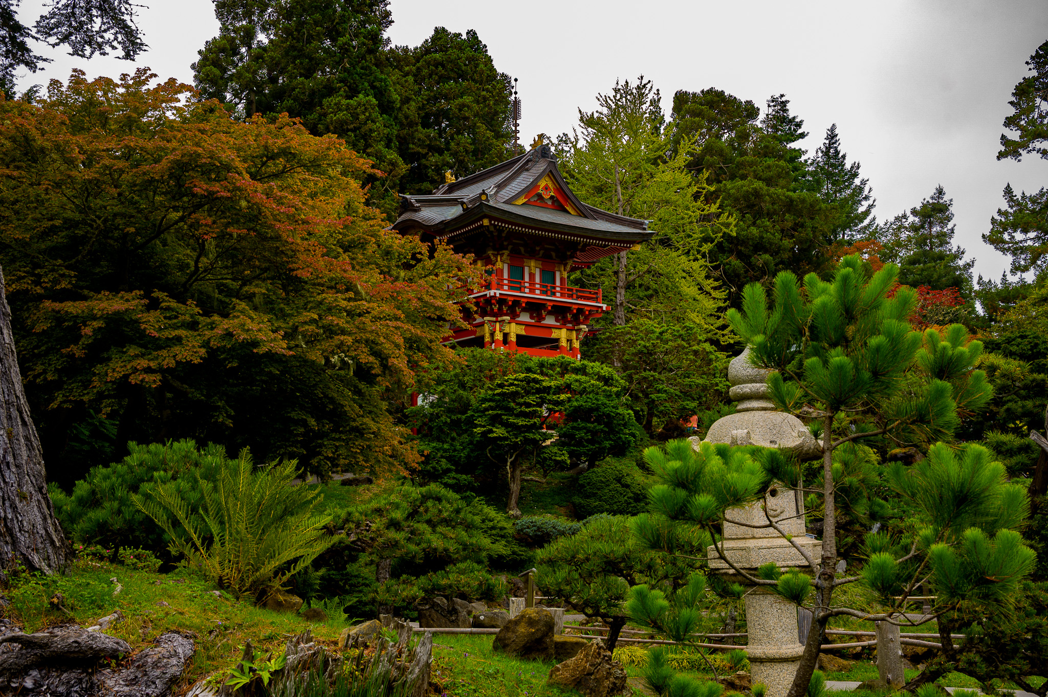 Japanese Tea Garden