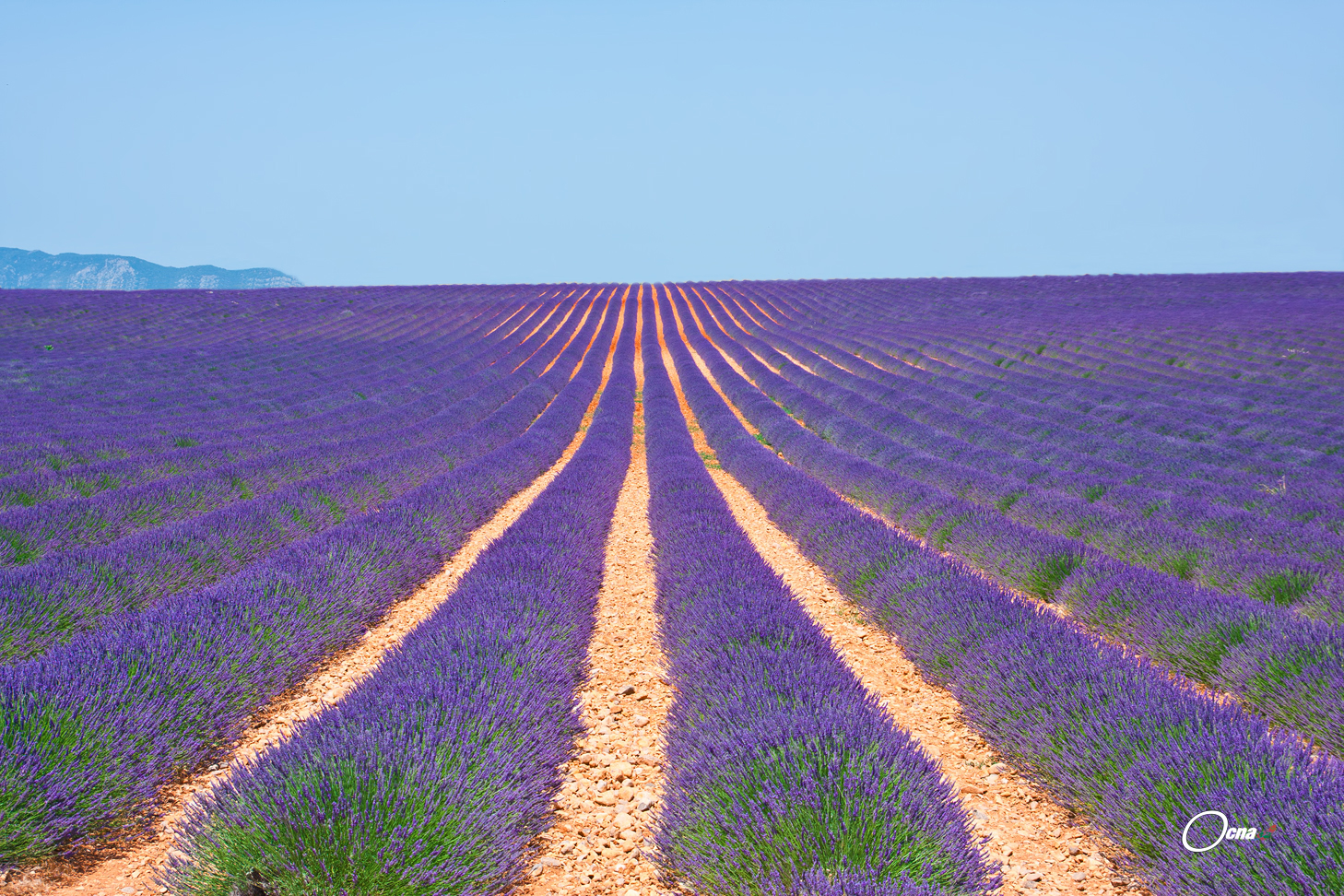 un mare .......profumato