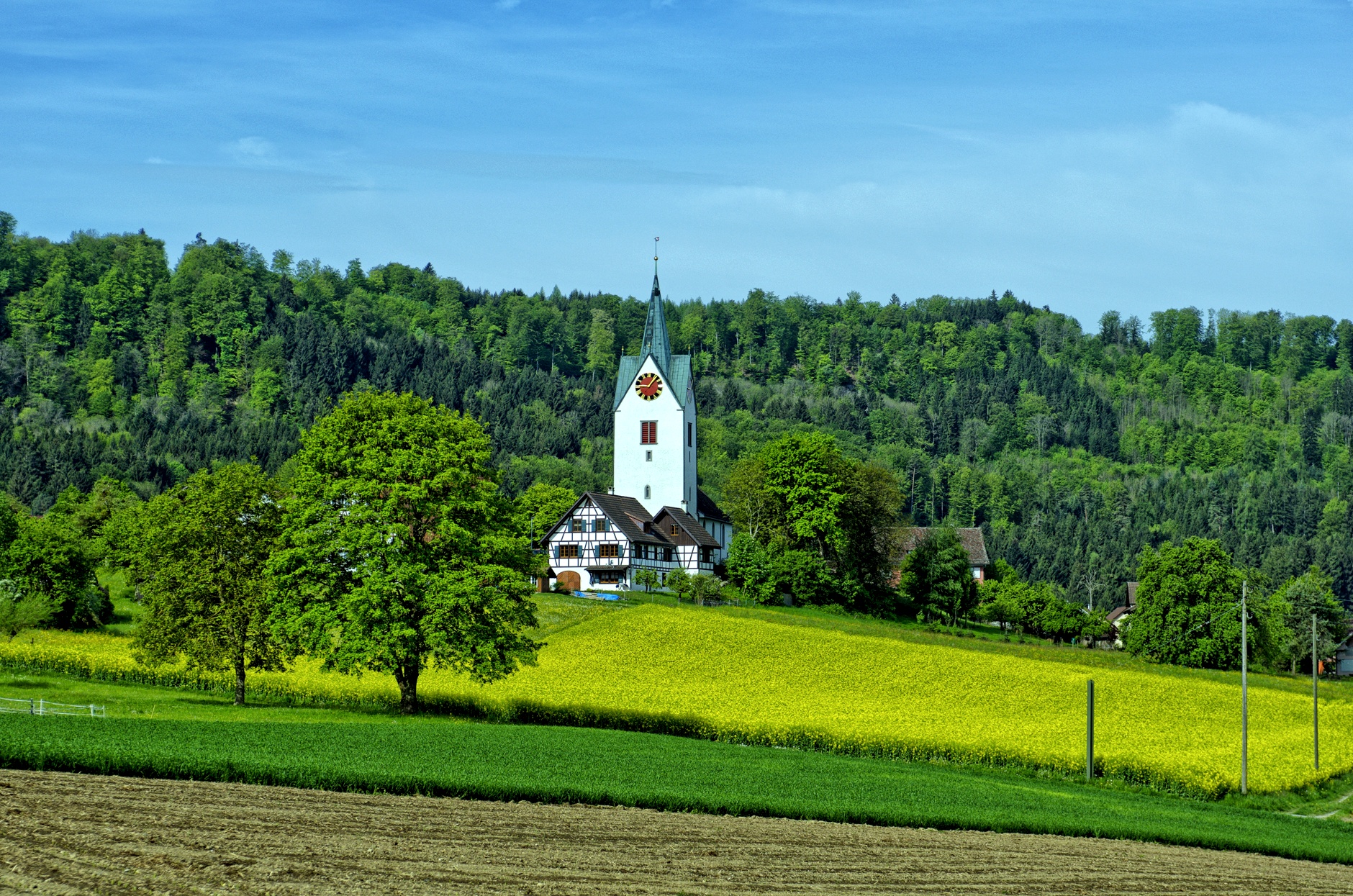 Buch am Irchel