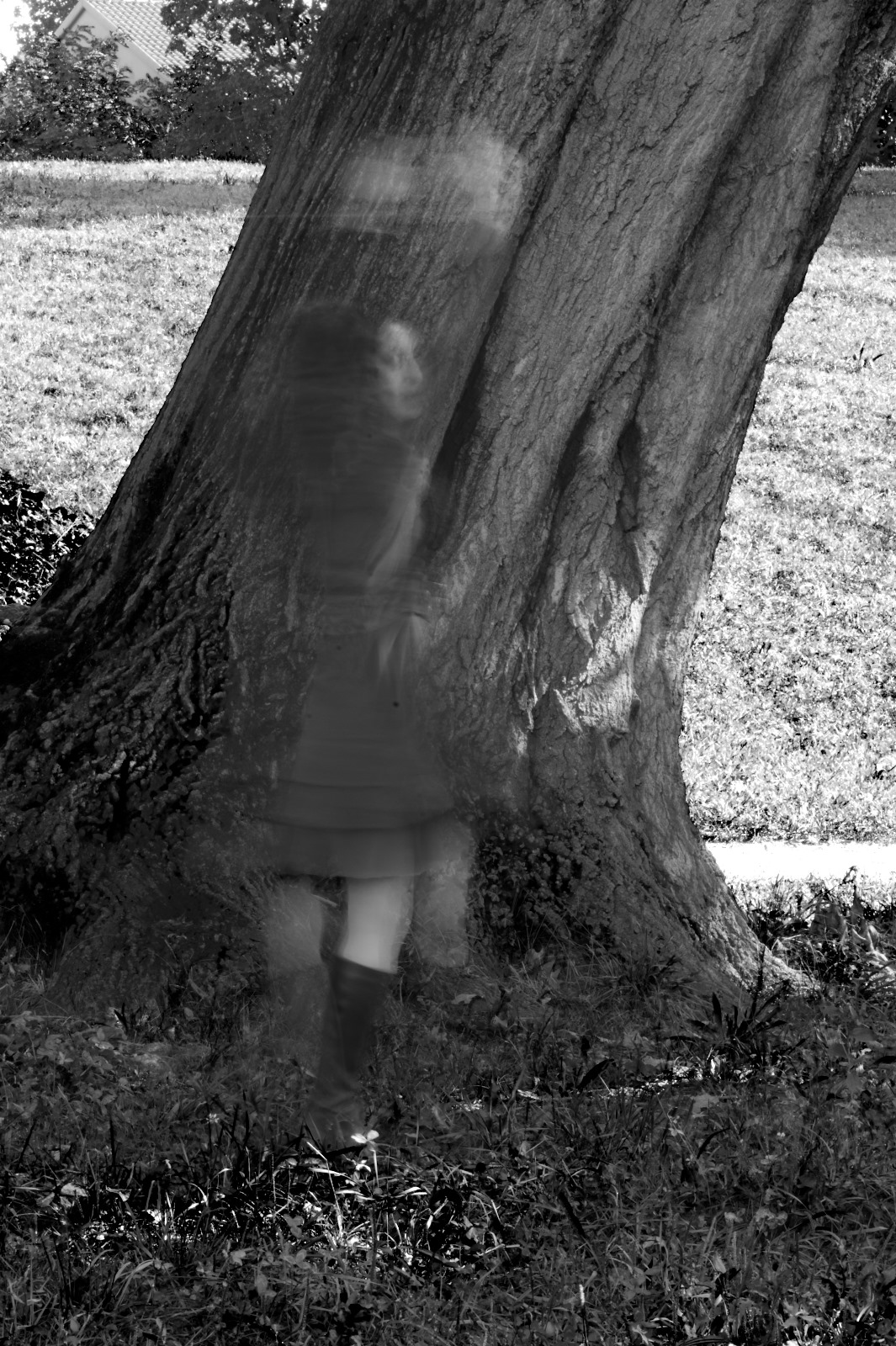 Lo spirito dell'albero