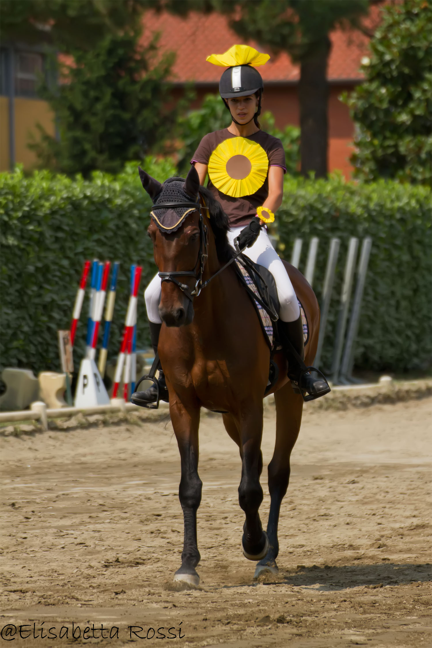 Torre Dei aid Mulberries-Social