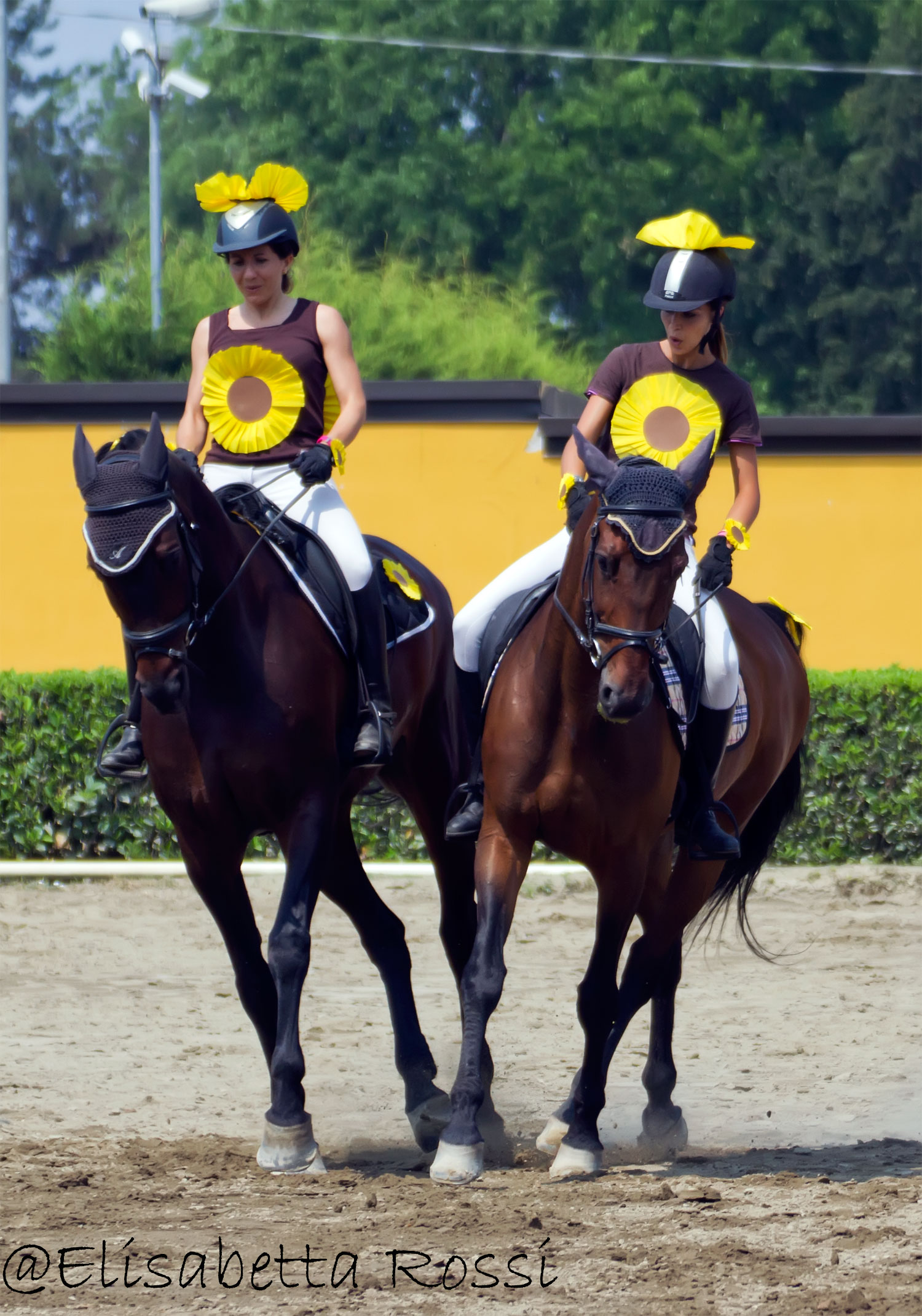 a.i.d. Torre Dei Gelsi-Sociale