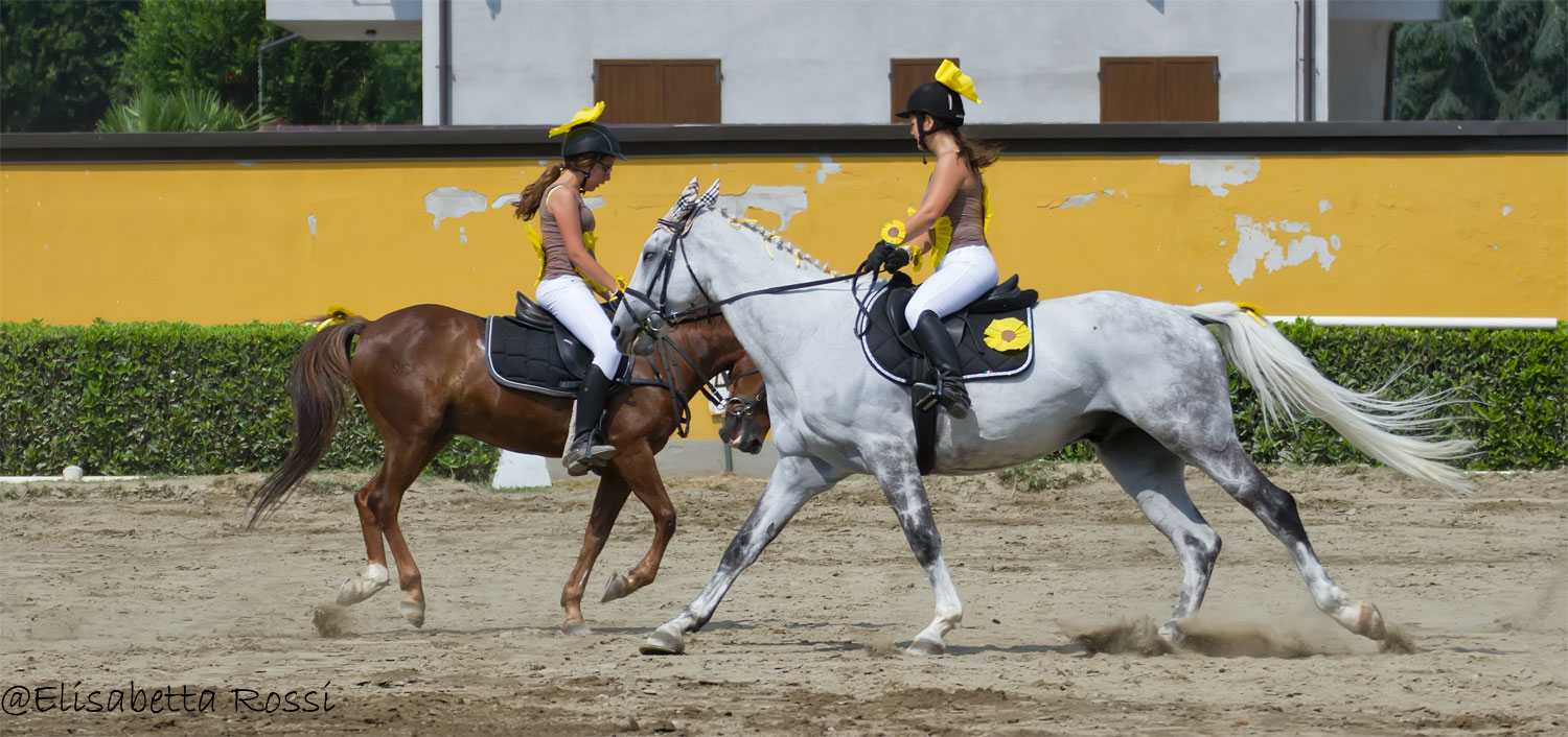Torre Dei aid Mulberries-Social