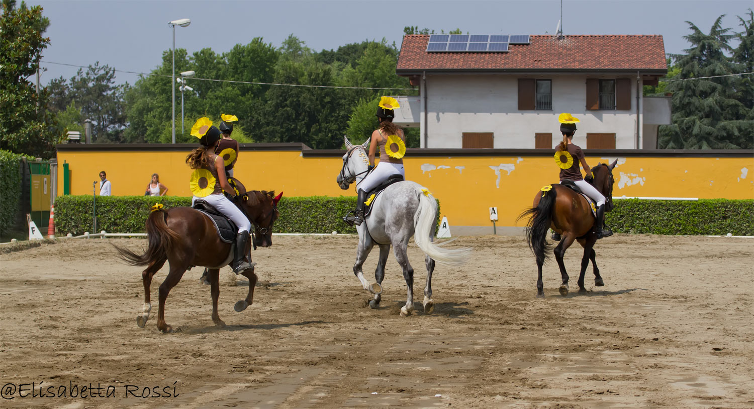 a.i.d. Torre Dei Gelsi-Sociale