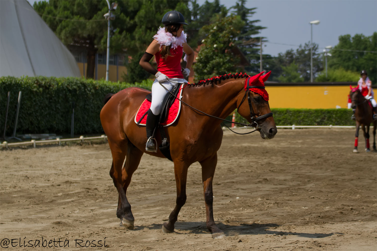 Torre Dei aid Mulberries-Social