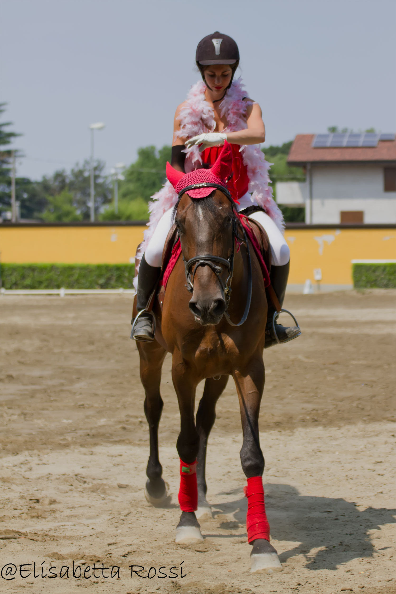 a.i.d. Torre Dei Gelsi-Sociale