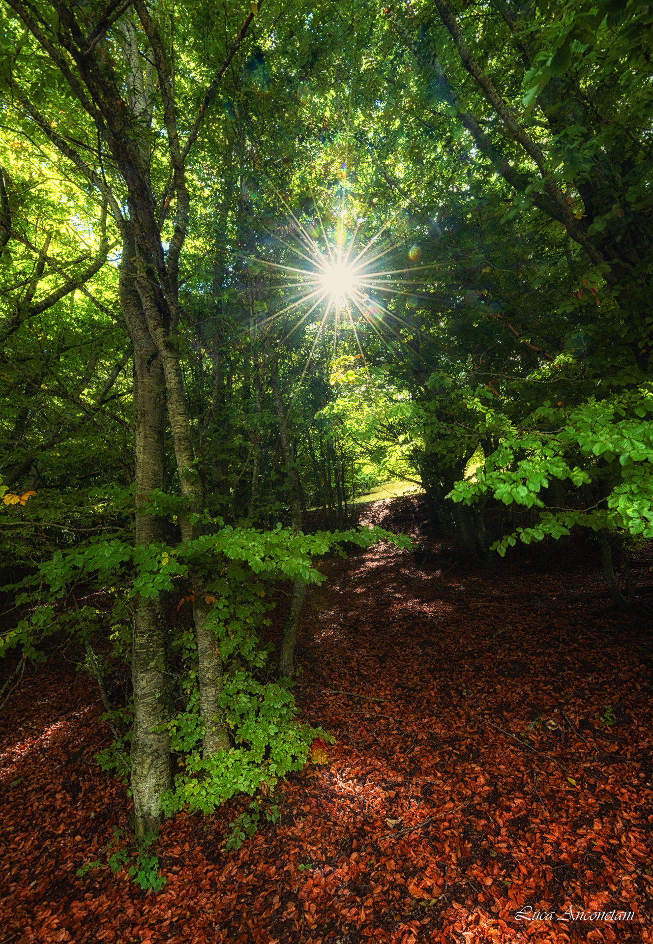Parco reg Monte San Vicino