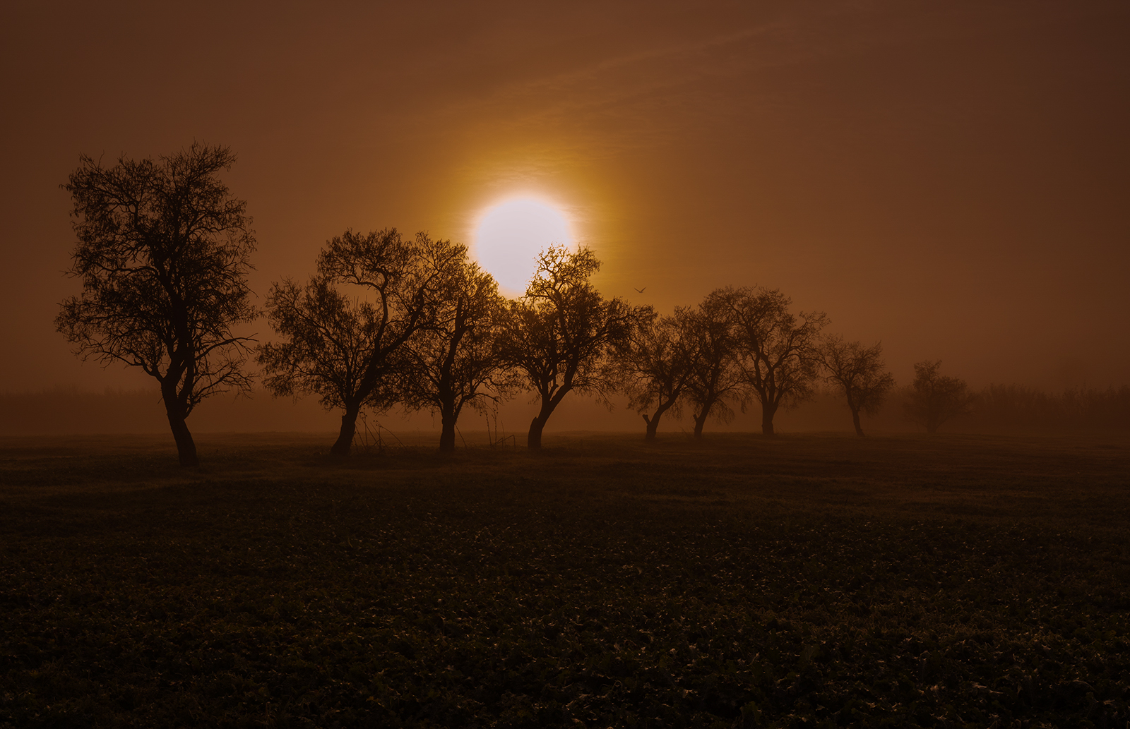 Untitled Photo